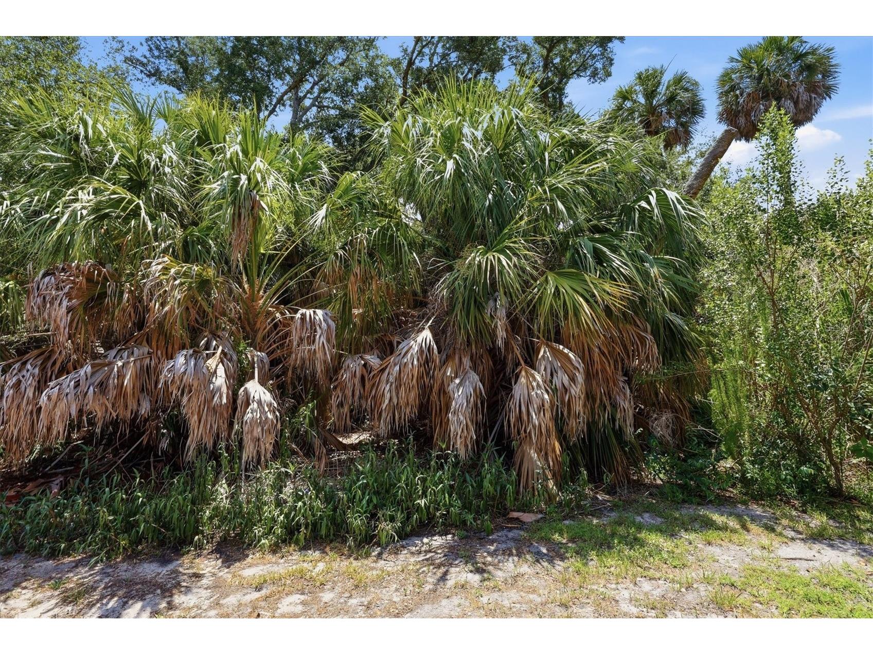 21238 Chattahoochee Avenue Venice FL 34293 N6144894 image57