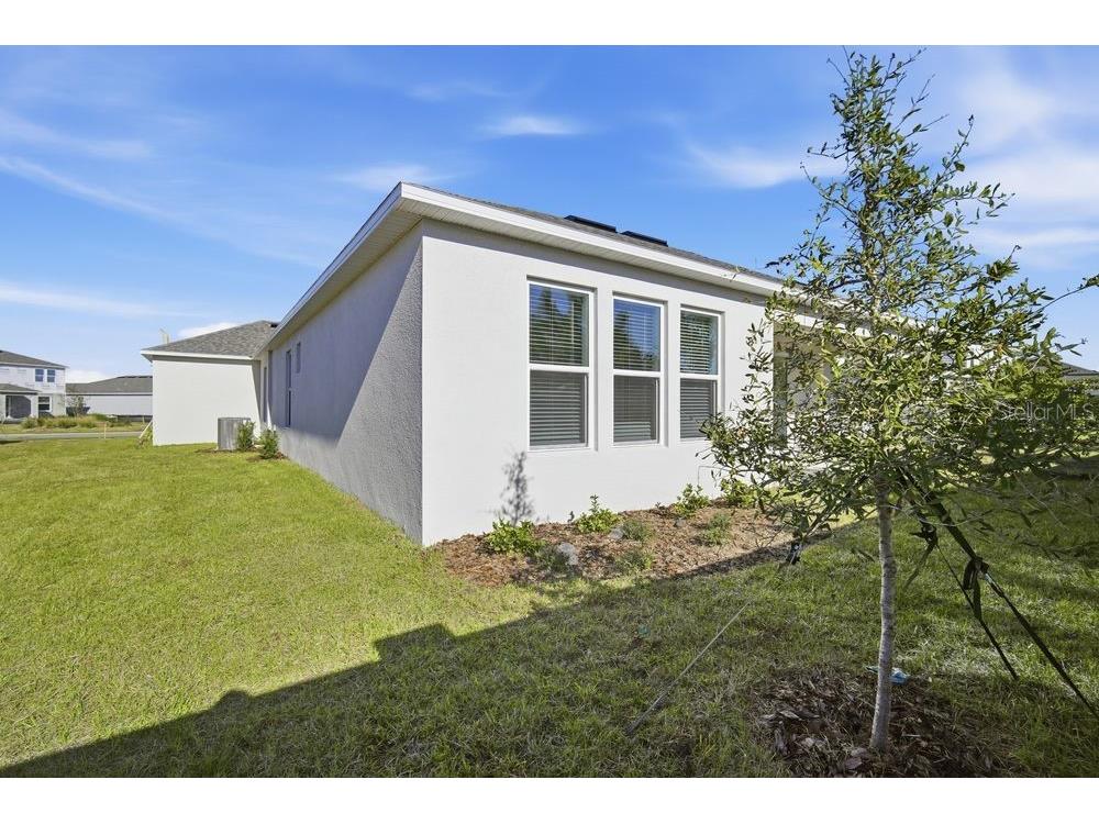 2124 Babbling Brook Boulevard Auburndale FL 33823 TB8451173 image26