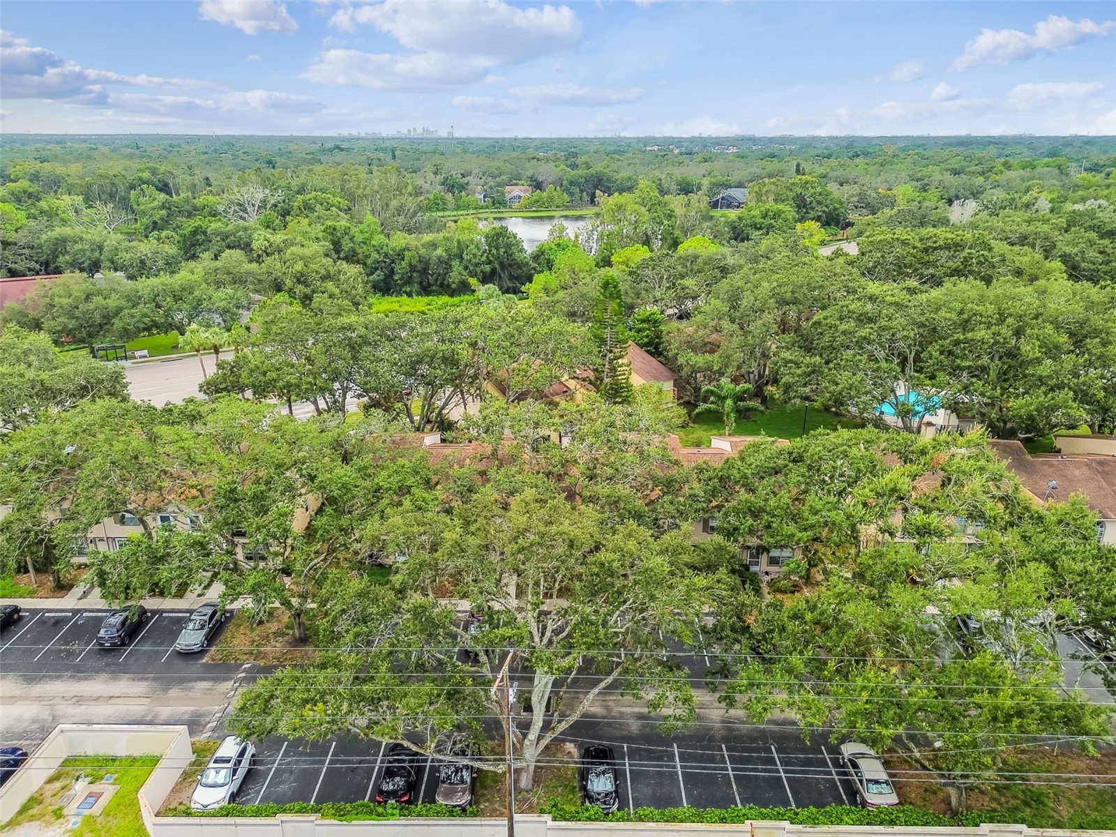 2124 Fletchers Point Circle Tampa FL 33613 TB8426882 image58