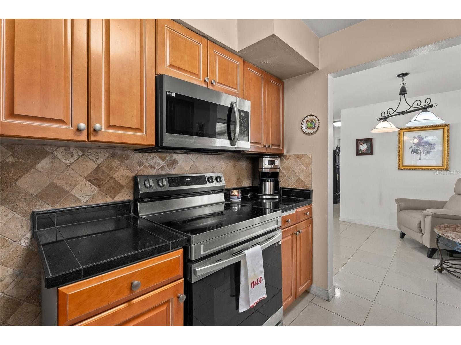 2124 Greenbriar Boulevard Clearwater FL 33763 TB8502677 image10