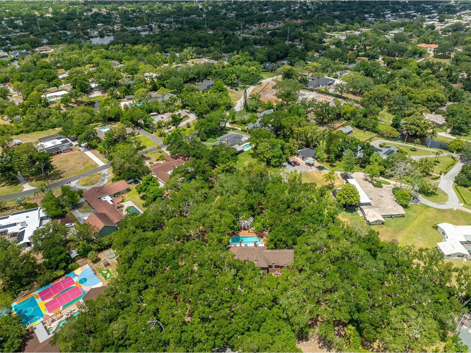 2124 Laurence Drive Clearwater FL 33764 TB8503691 image4