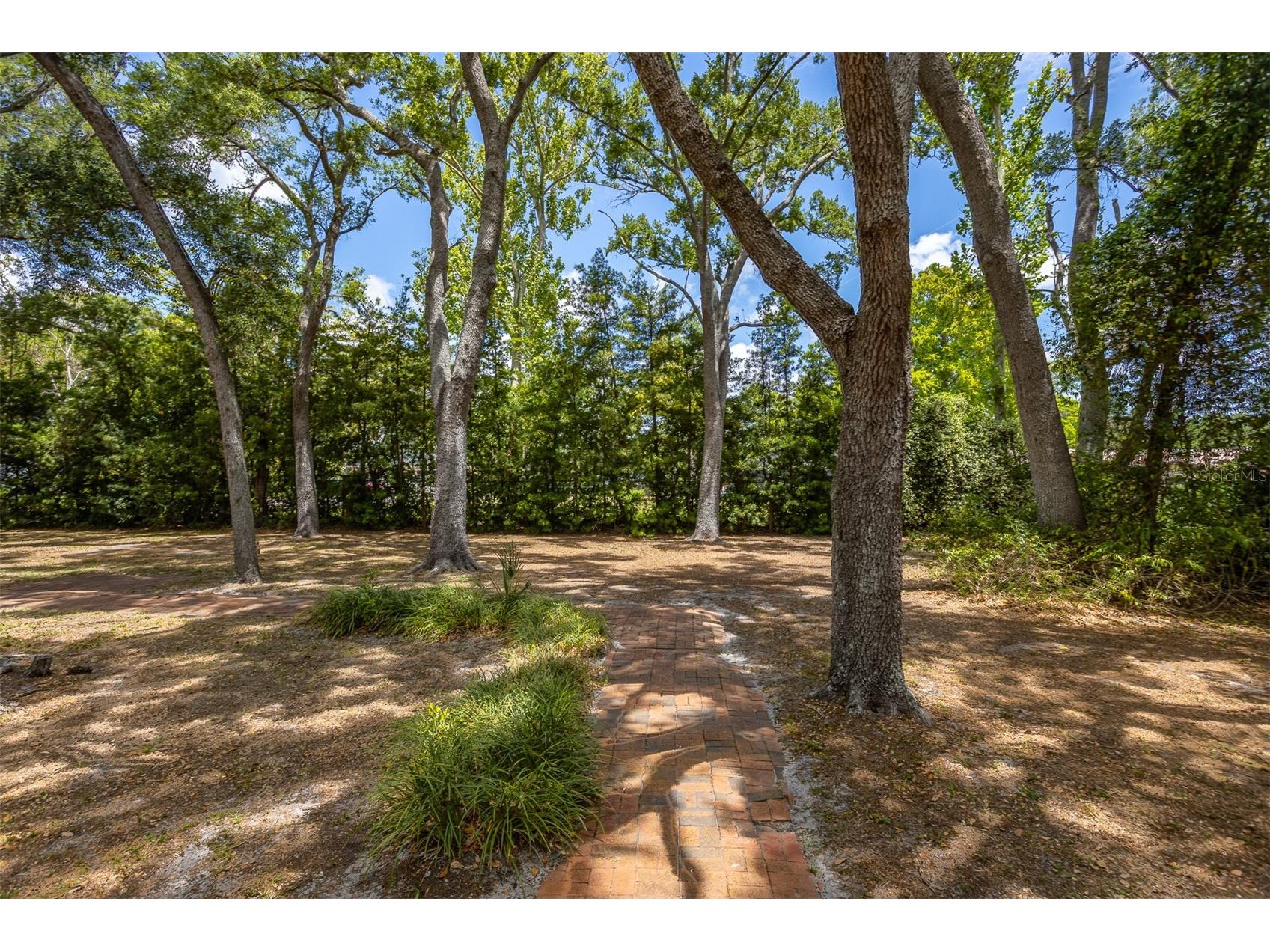 2124 Laurence Drive Clearwater FL 33764 TB8503691 image80