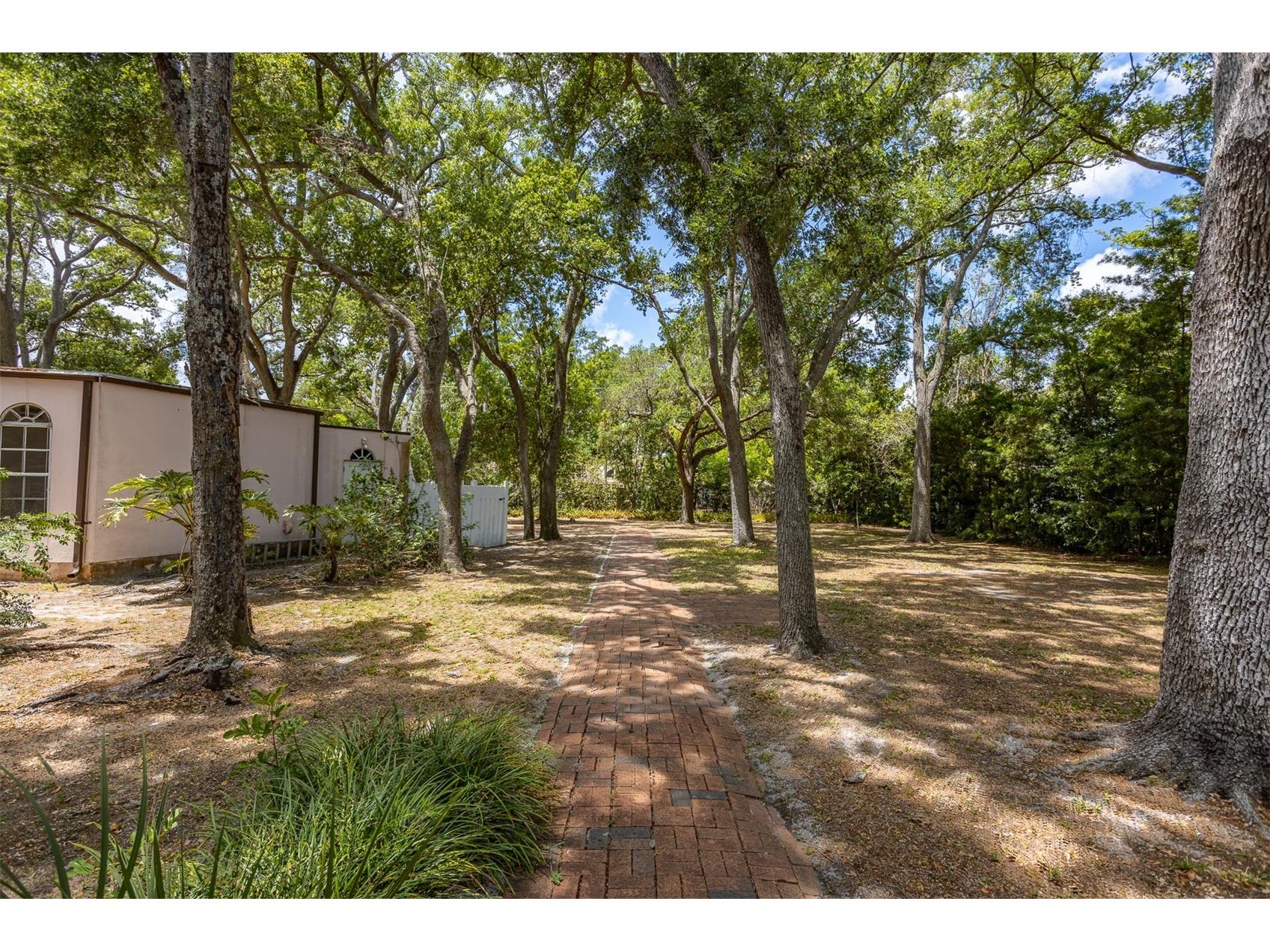 2124 Laurence Drive Clearwater FL 33764 TB8503691 image81