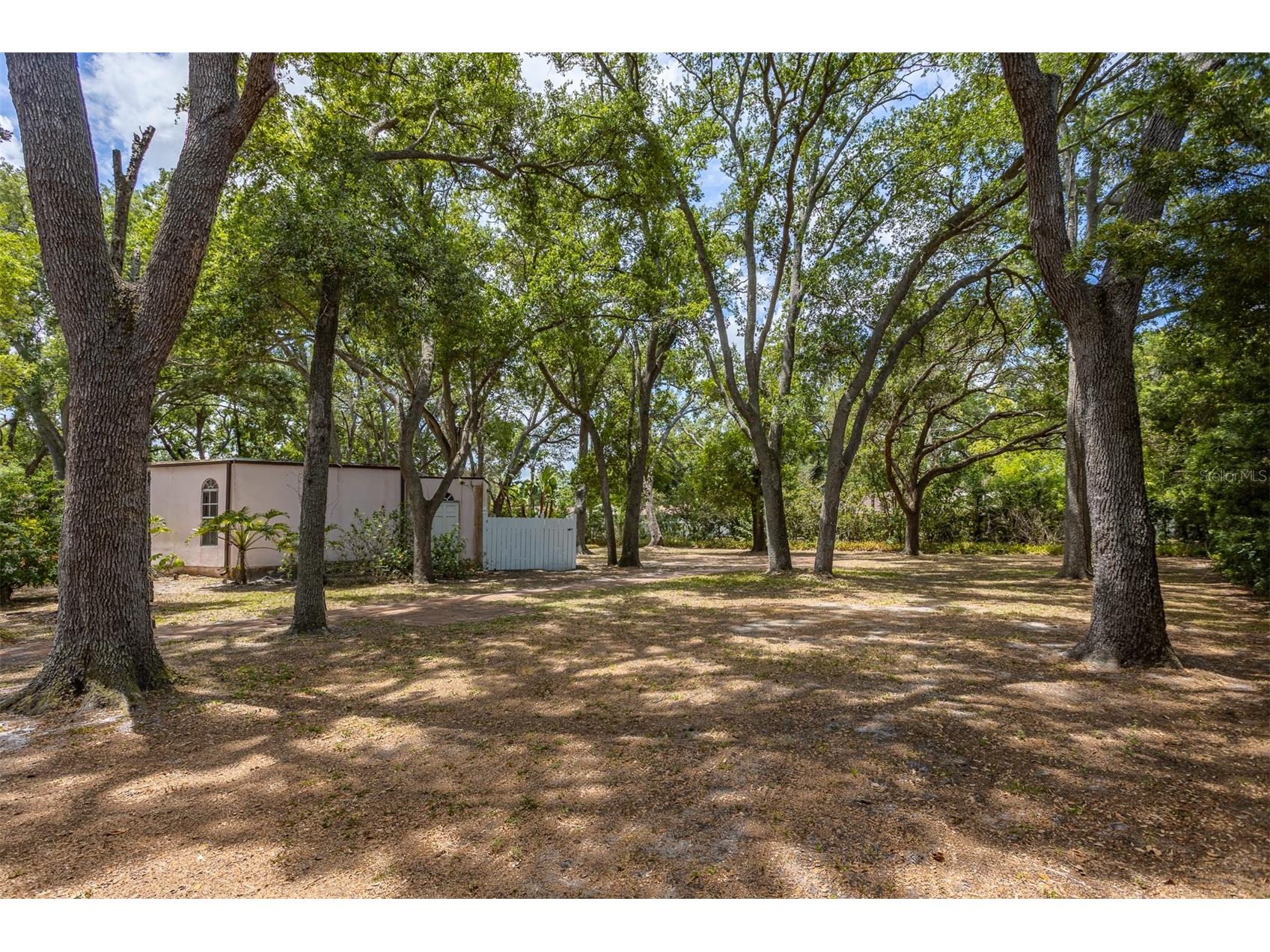 2124 Laurence Drive Clearwater FL 33764 TB8503691 image82