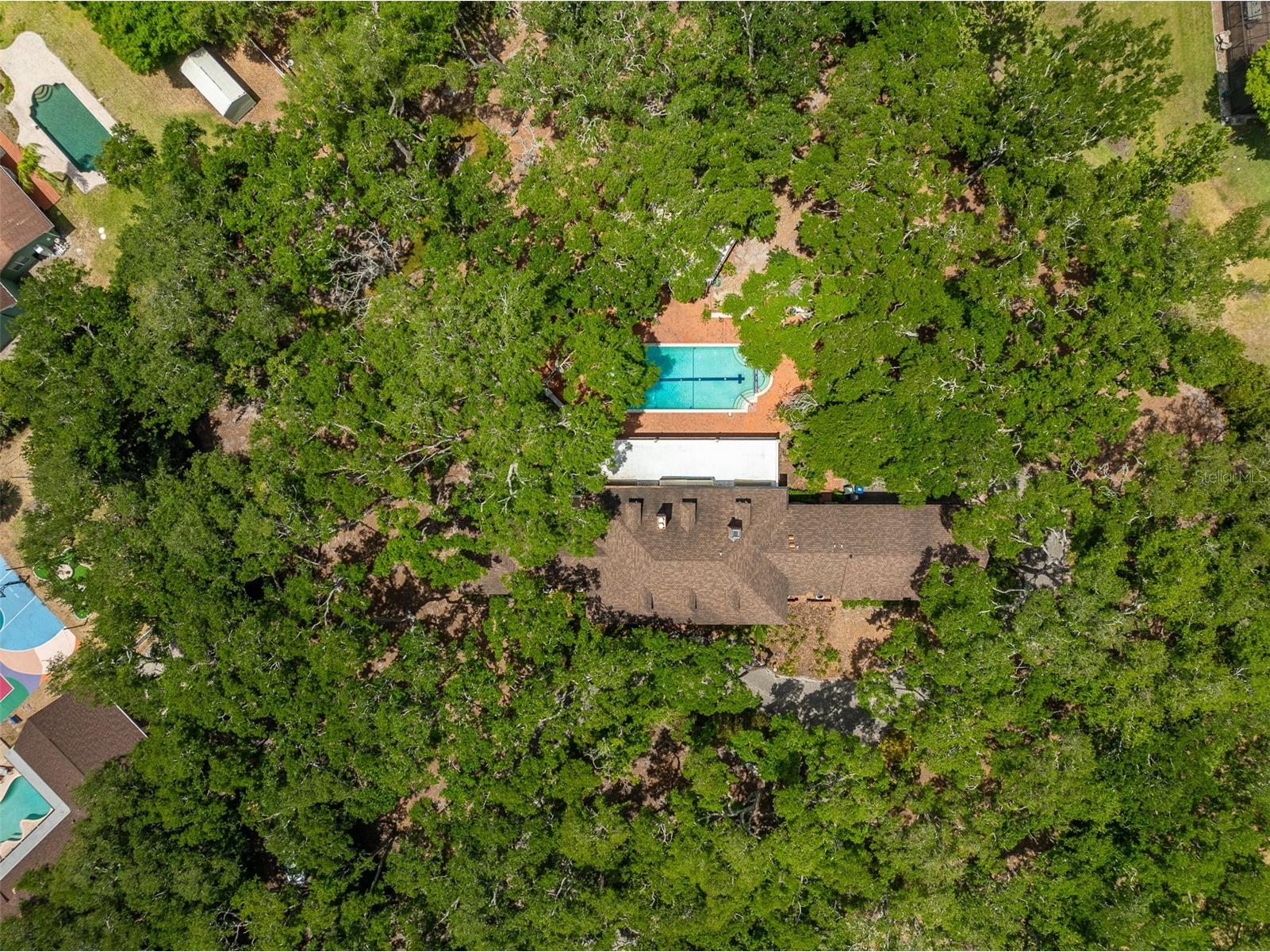 2124 Laurence Drive Clearwater FL 33764 TB8503691 image89