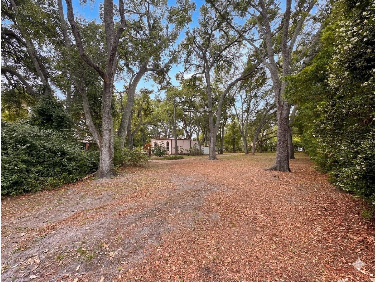 2124 Laurence Drive Clearwater FL 33764 TB8503691 image96