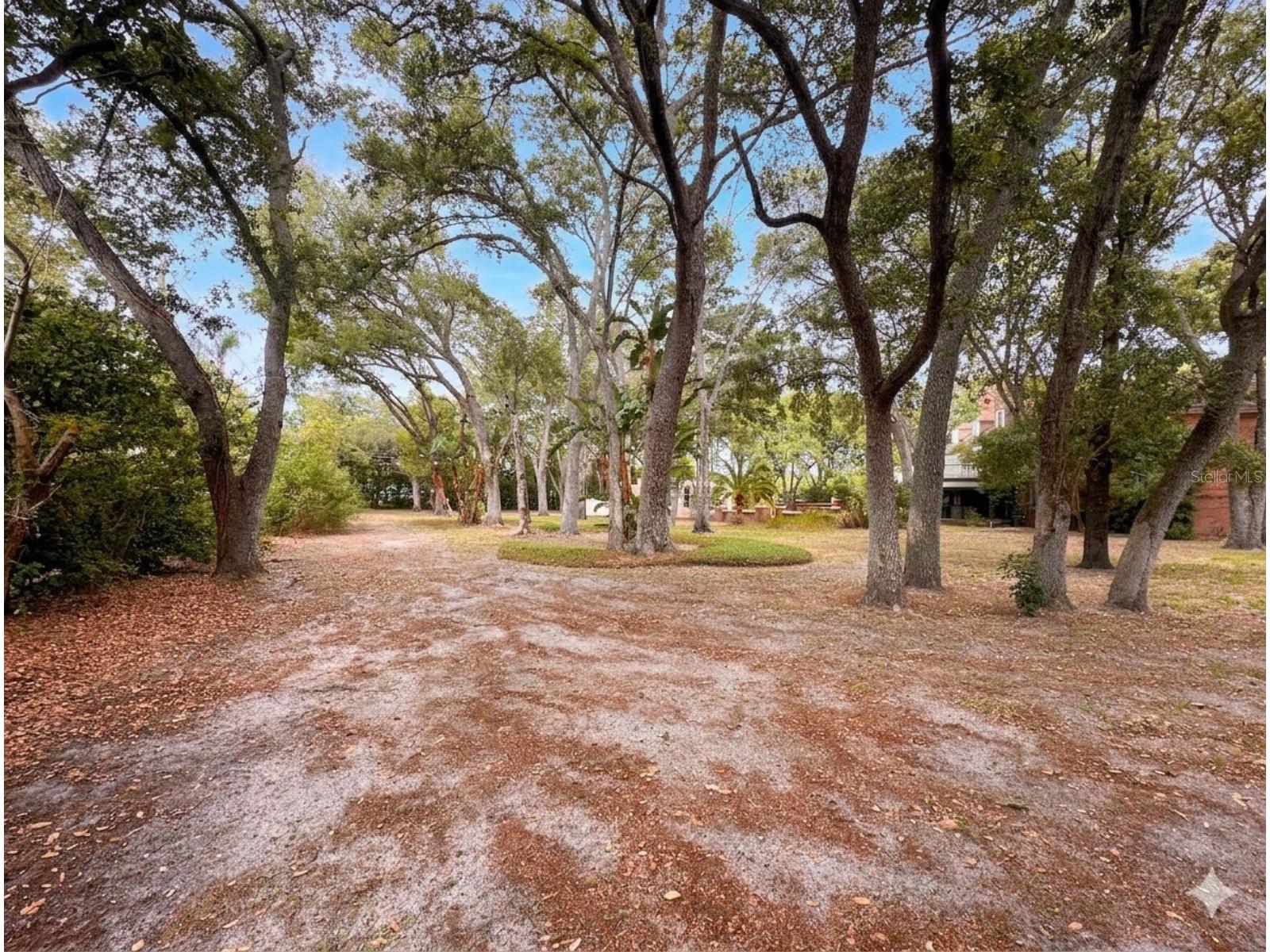 2124 Laurence Drive Clearwater FL 33764 TB8503691 image97