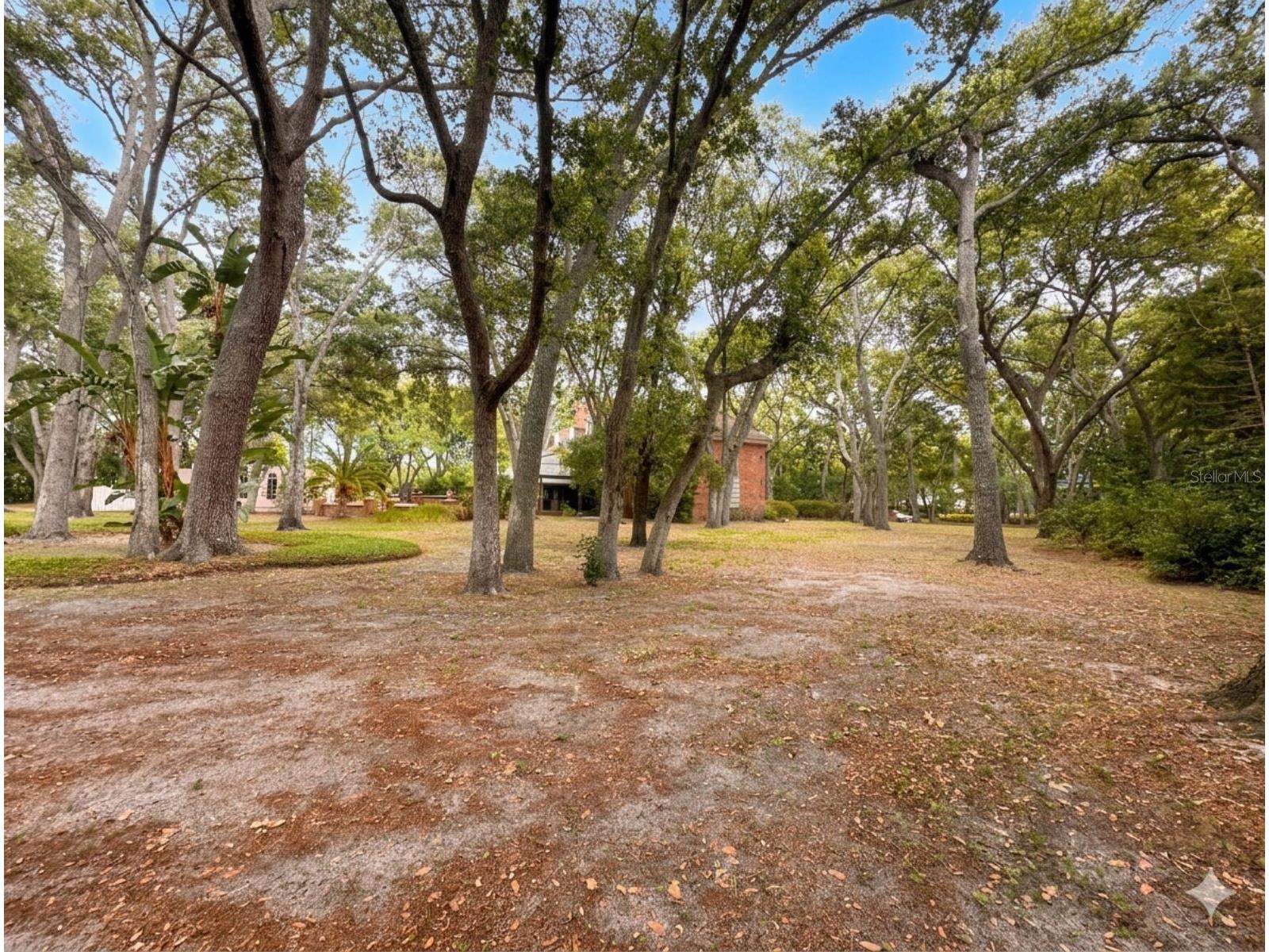 2124 Laurence Drive Clearwater FL 33764 TB8503691 image98