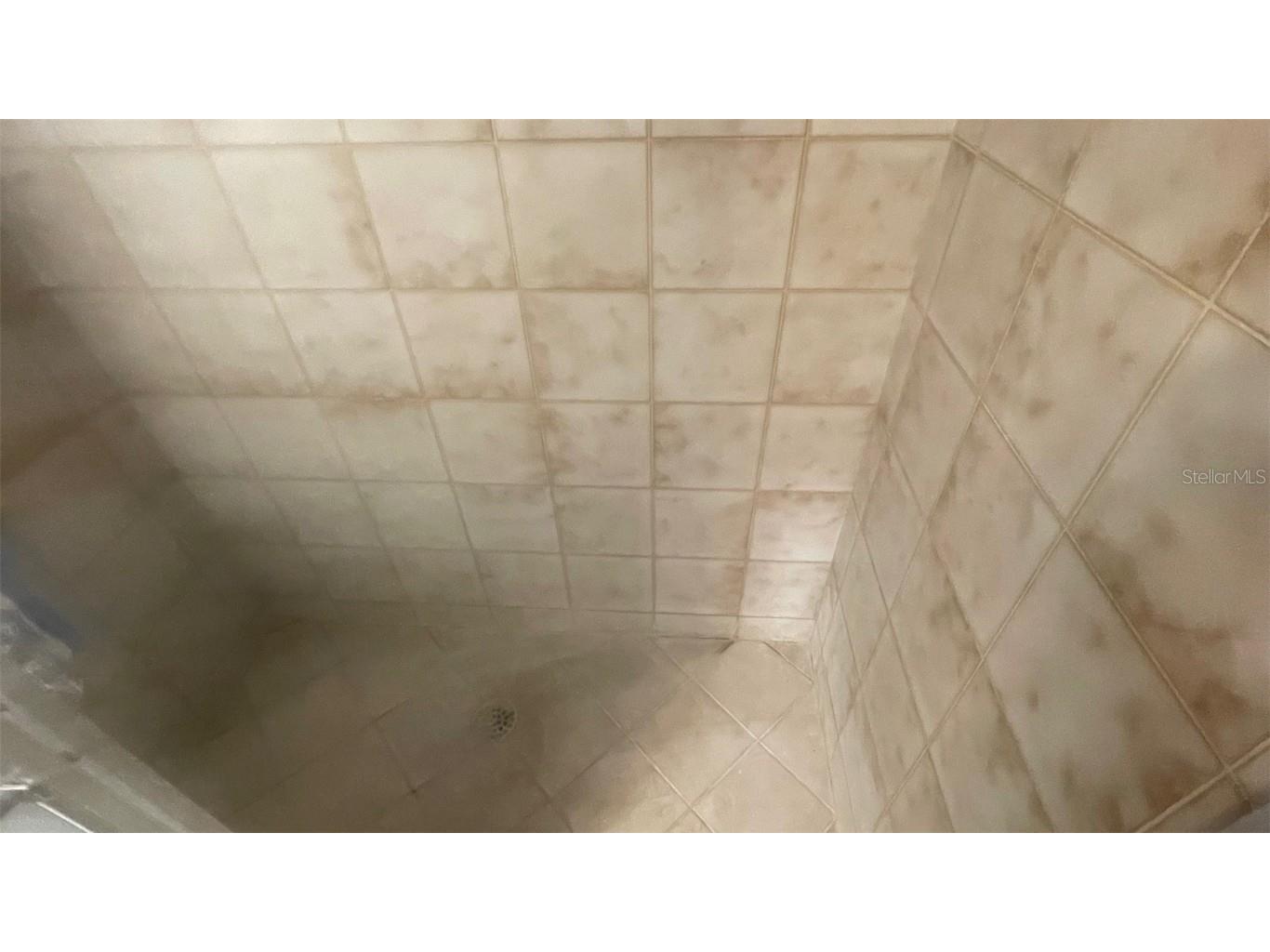 2124 NE 58th Street Ocala FL 34479 OM715145 image18