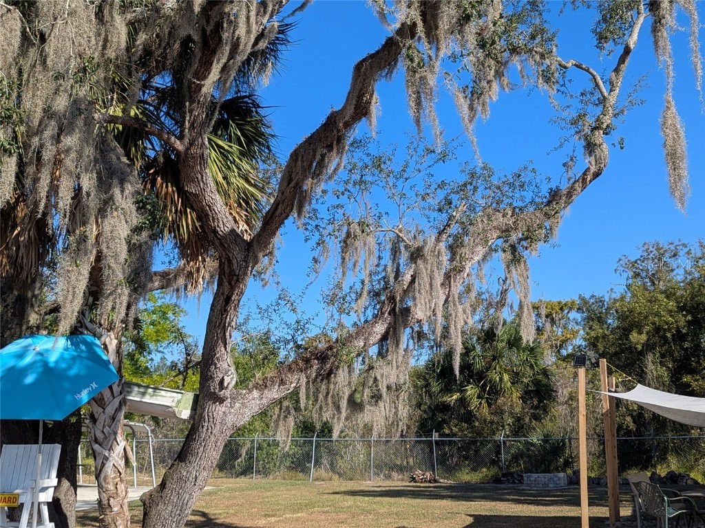 2124 NW American Legion Drive Arcadia FL 34266 - PEACE RIVER C7481924 image26