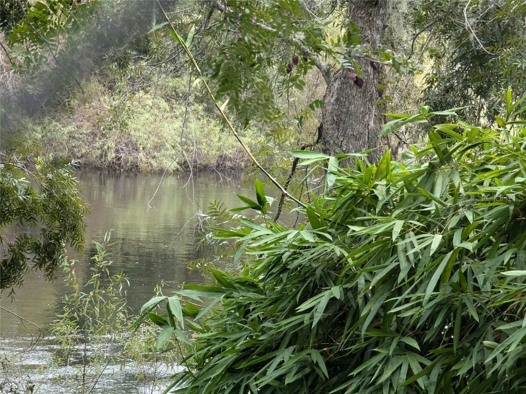 2124 NW American Legion Drive Arcadia FL 34266 - PEACE RIVER C7481924 image35