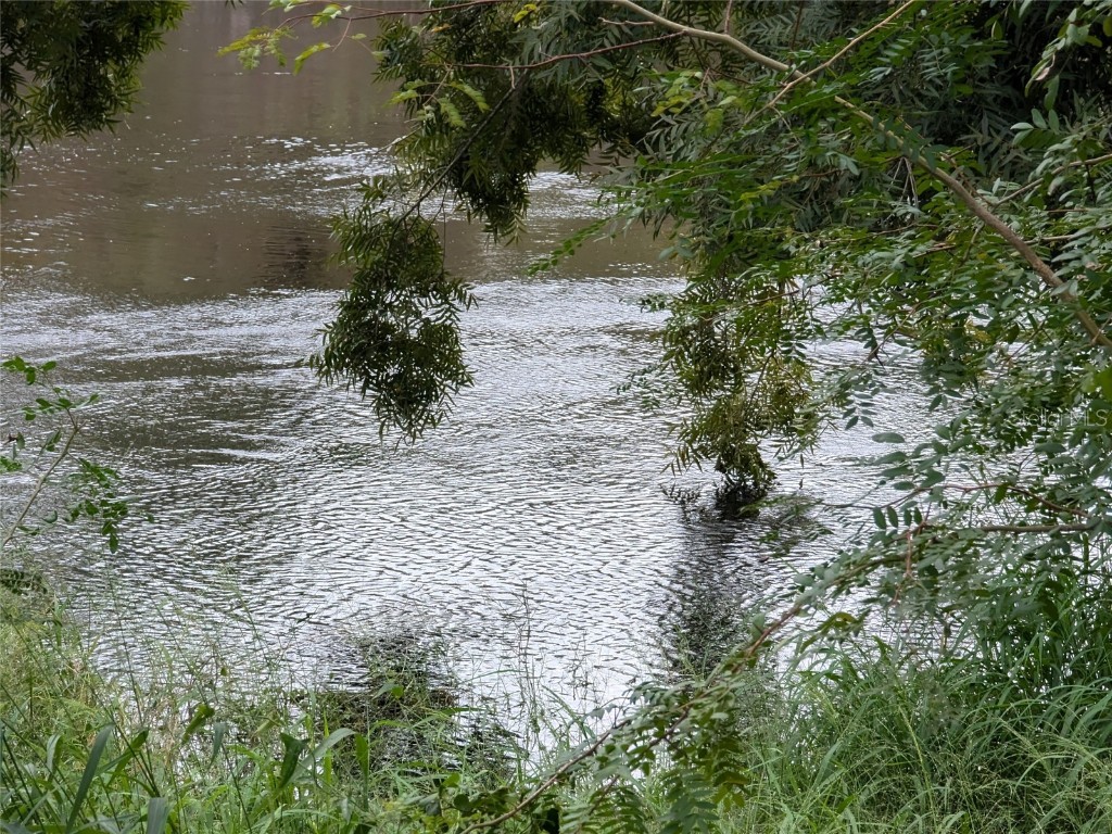 2124 NW American Legion Drive Arcadia FL 34266 - PEACE RIVER C7481924 image37