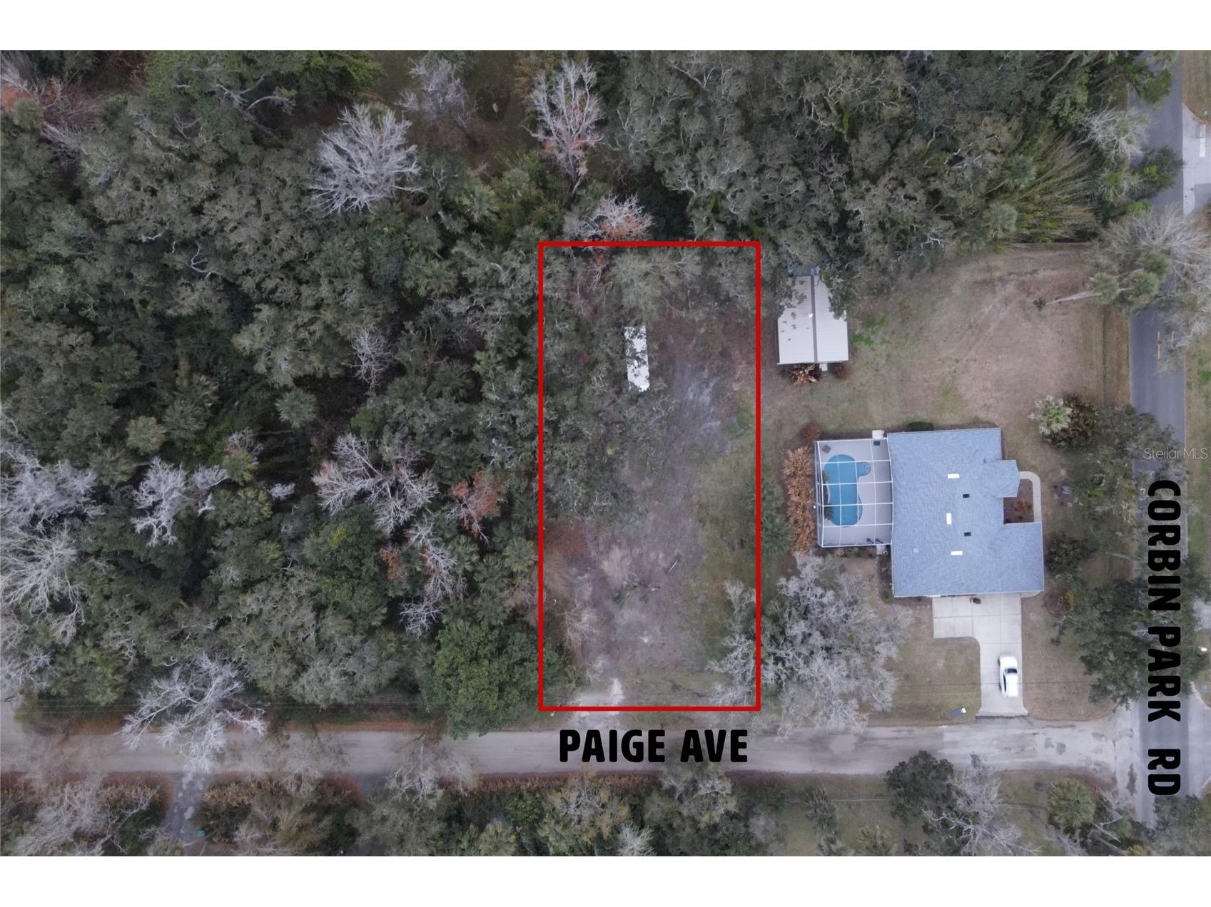 2124 Paige Avenue New Smyrna Beach FL 32168 NS1087381 image1