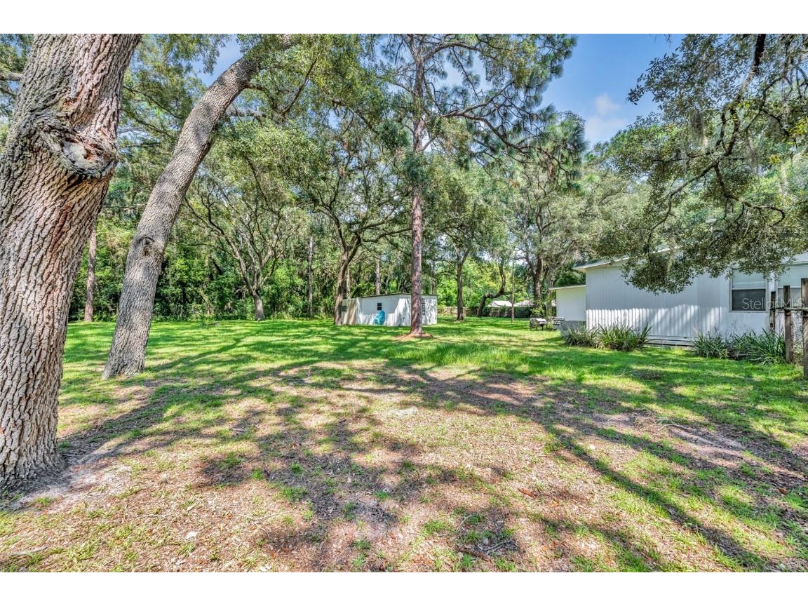 21245 Evergreen Court Mount Dora FL 32757 G5087205 image19