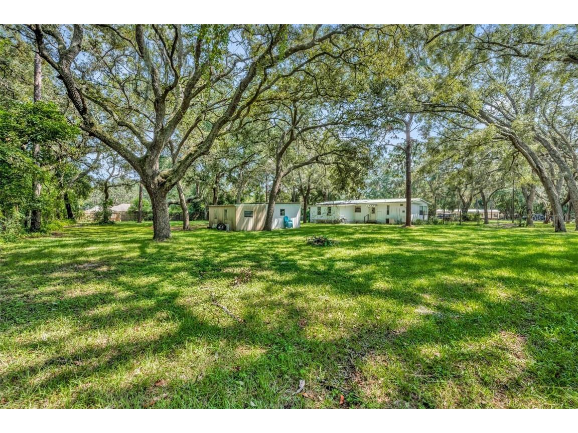 21245 Evergreen Court Mount Dora FL 32757 G5087205 image20