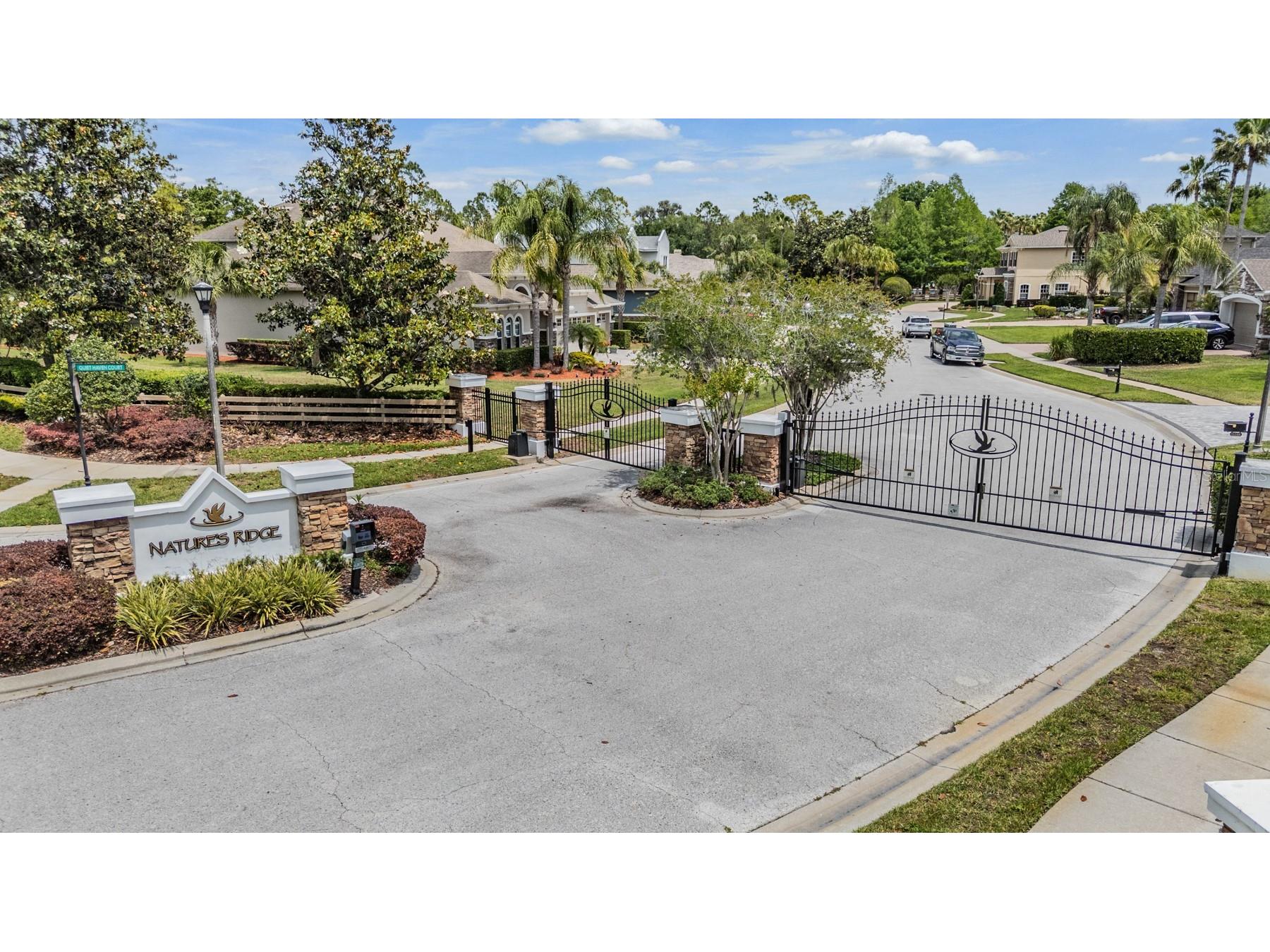 21246 Quiet Haven Court Land O Lakes FL 34637 - Bay Lake TB8500221 image2