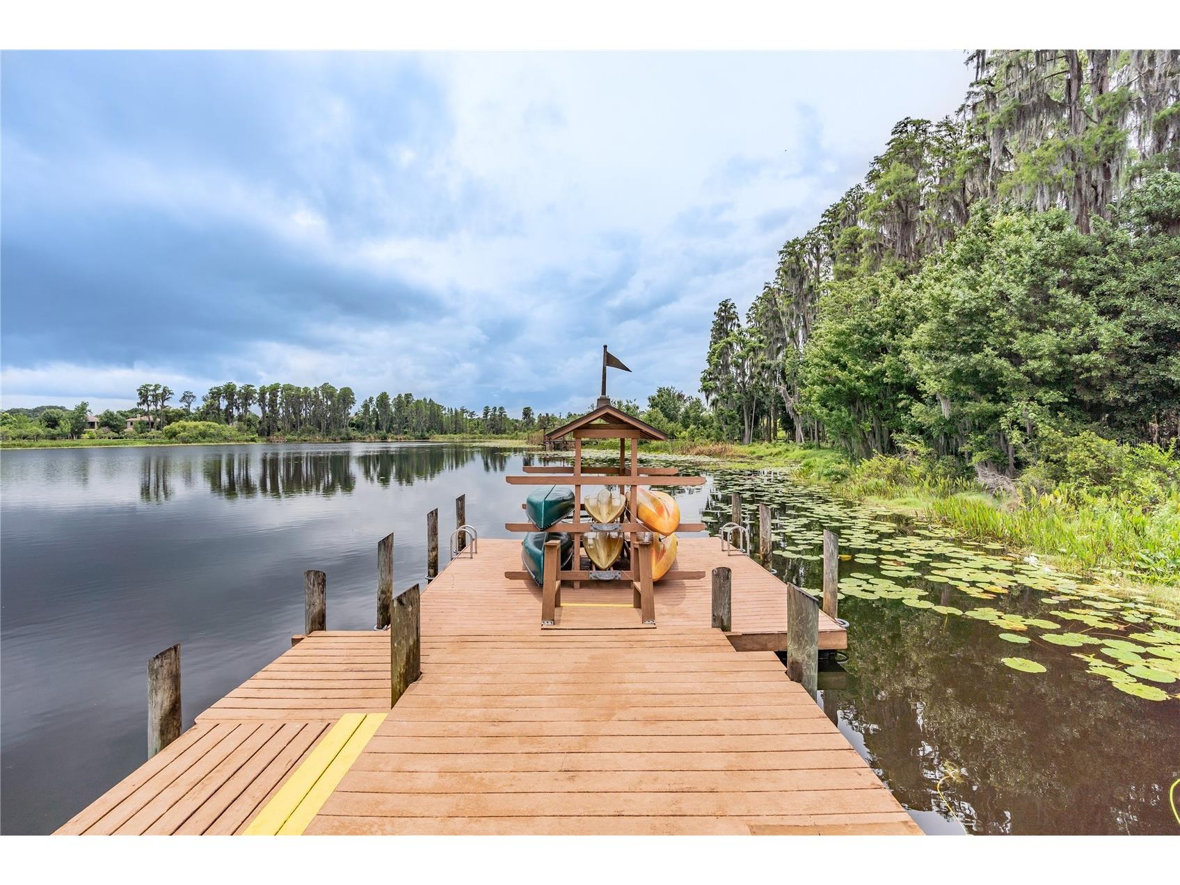 21246 Quiet Haven Court Land O Lakes FL 34637 - Bay Lake TB8500221 image74