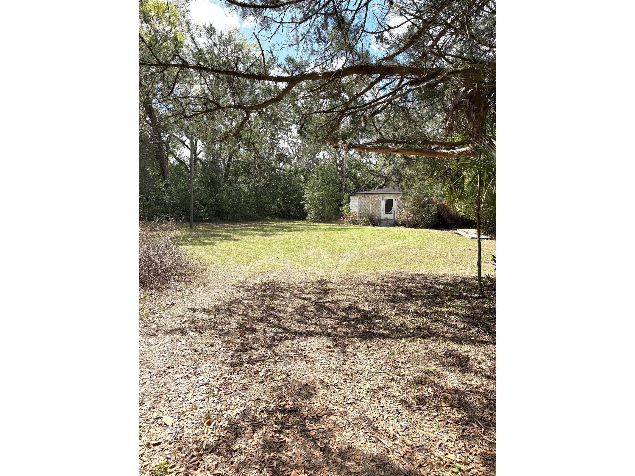 21249 Durden Road Dade City FL 33523 TB8484338 image21