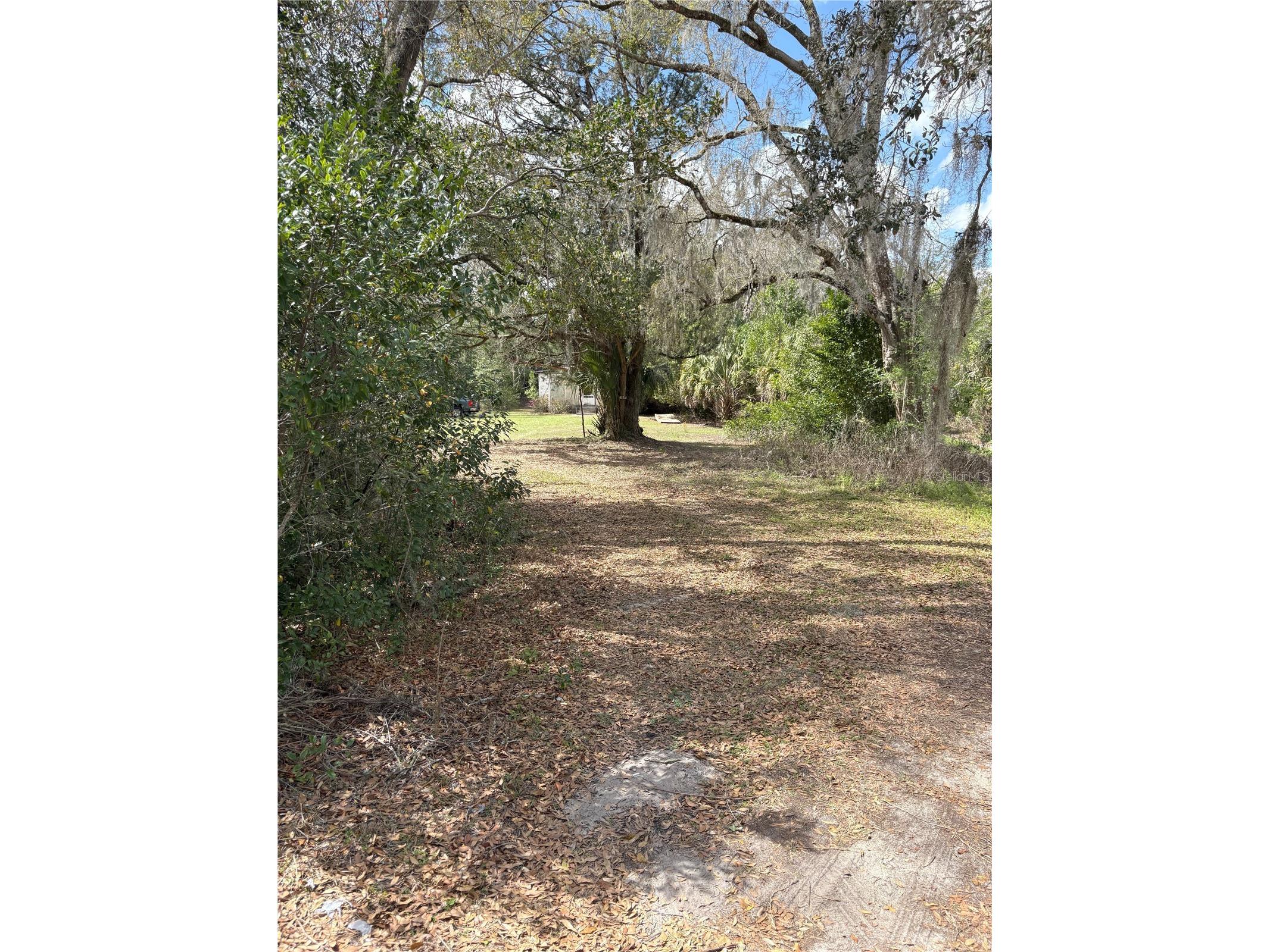 21249 Durden Road Dade City FL 33523 TB8484338 image22