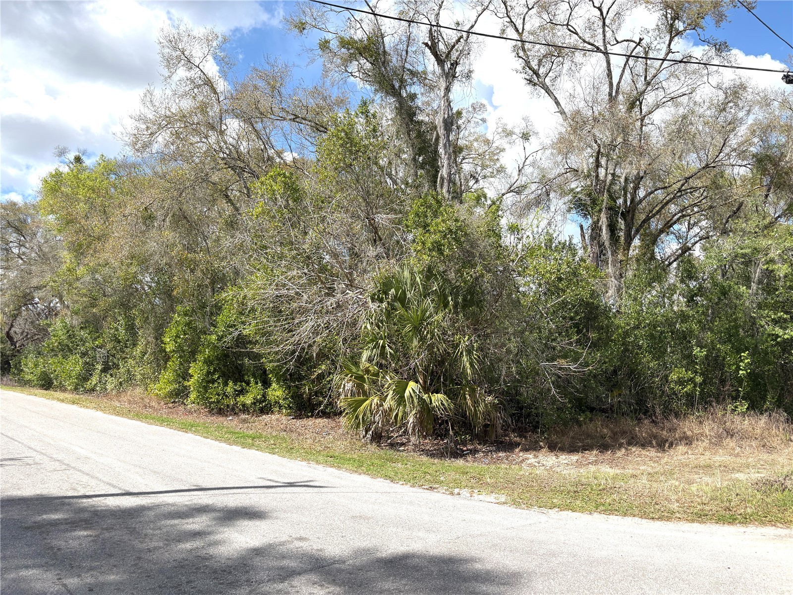 21249 Durden Road Dade City FL 33523 TB8485304 image11