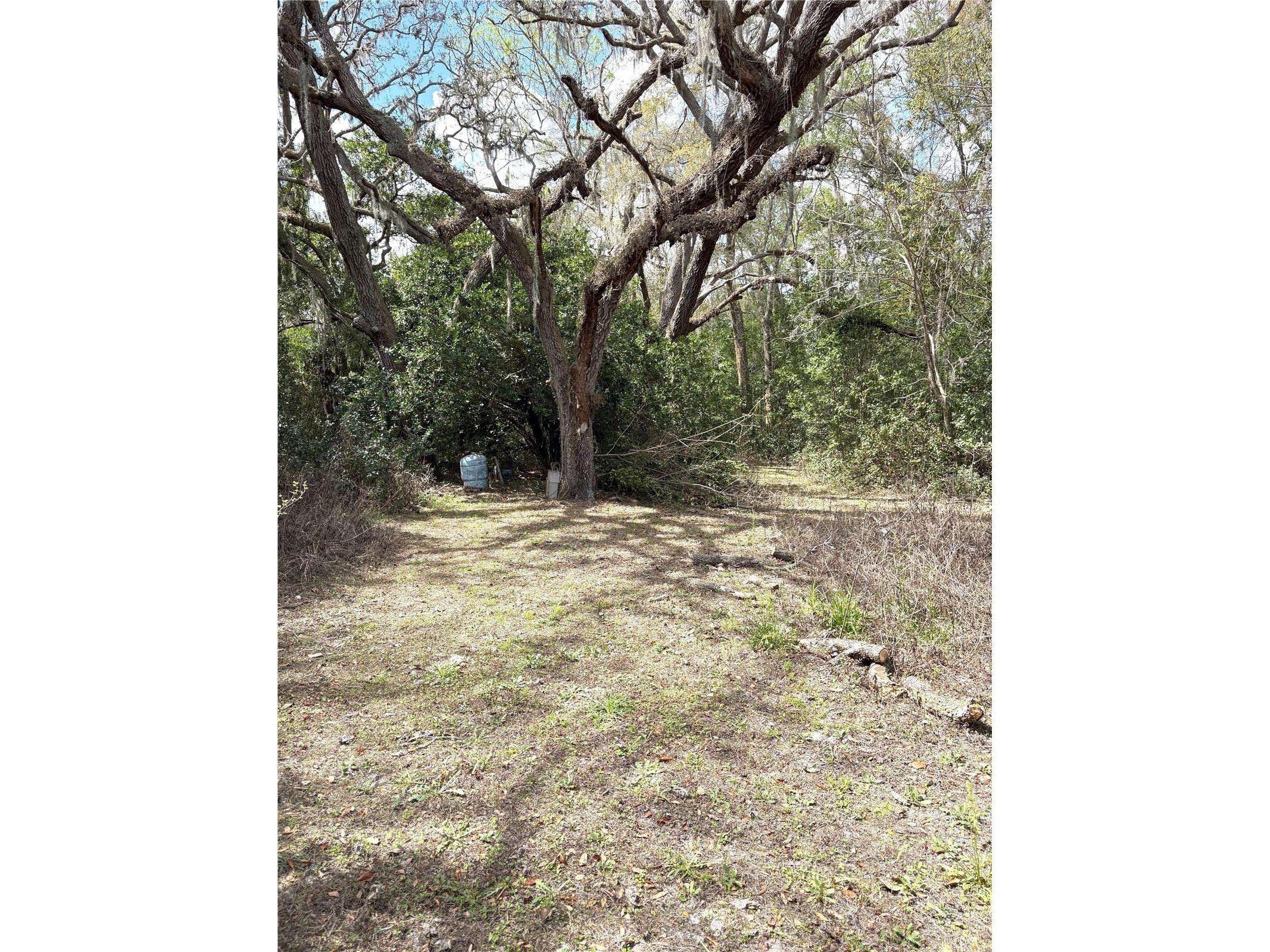 21249 Durden Road Dade City FL 33523 TB8485304 image14