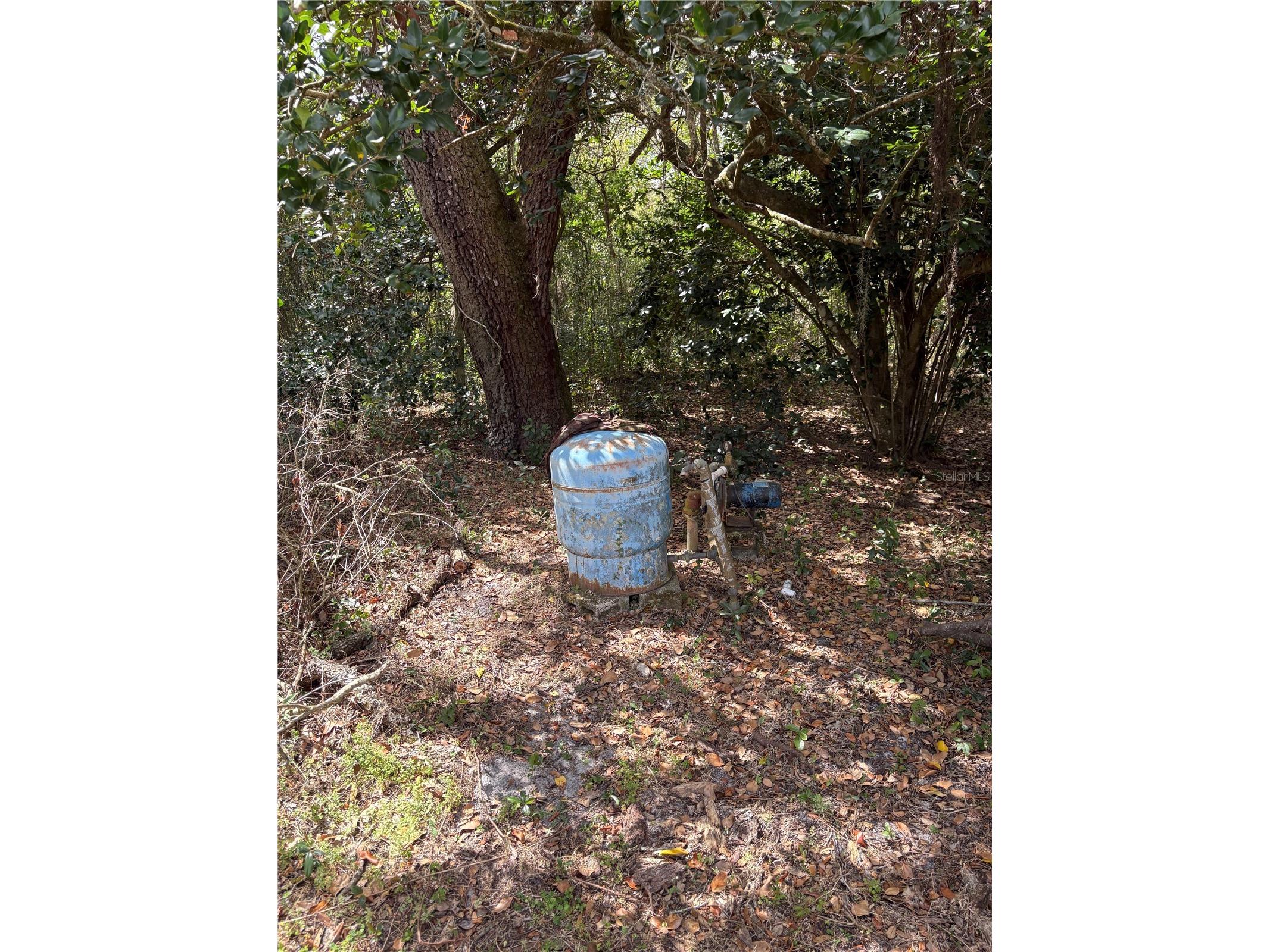 21249 Durden Road Dade City FL 33523 TB8485304 image28