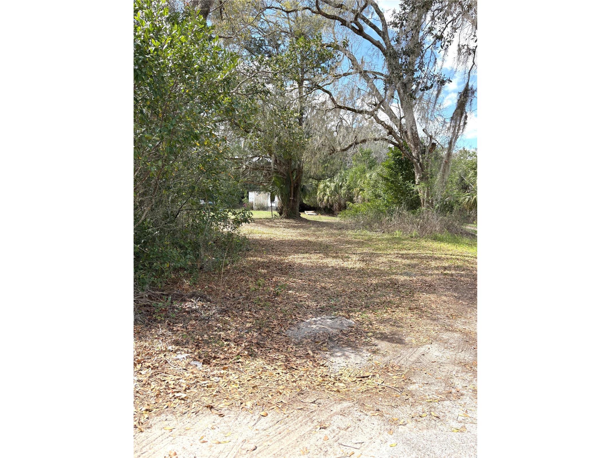 21249 Durden Road Dade City FL 33523 TB8485304 image8