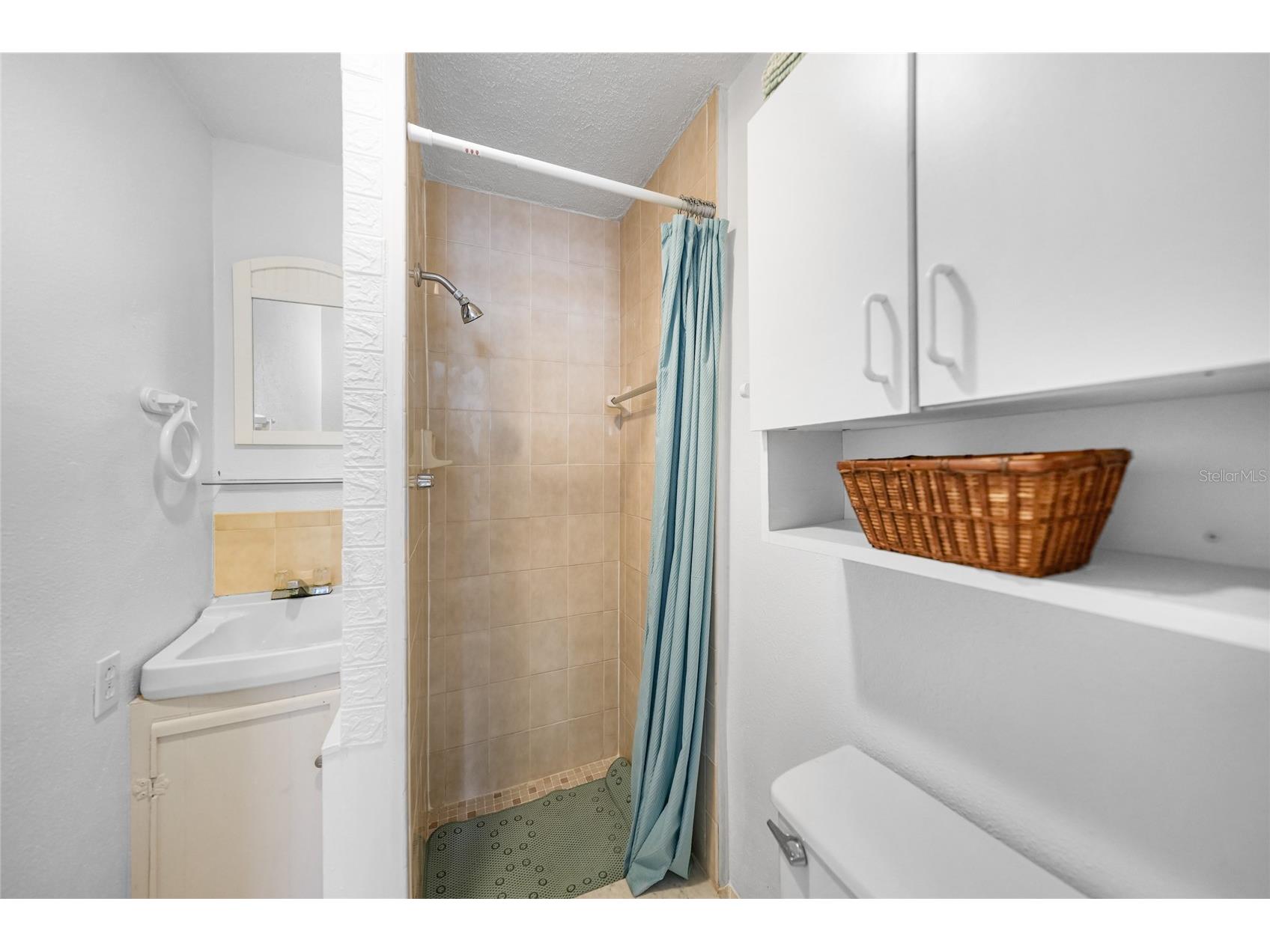 21249 Higgs Drive Port Charlotte FL 33952 C7523845 image28