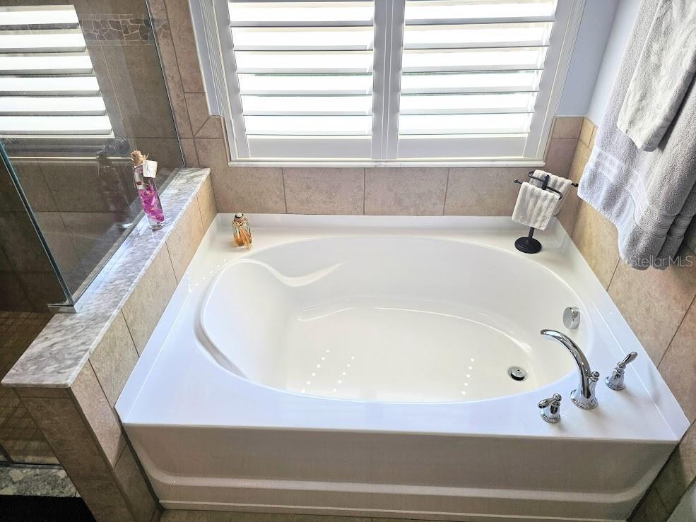 2125 Barracuda Court Holiday FL 34691 TB8502103 image19