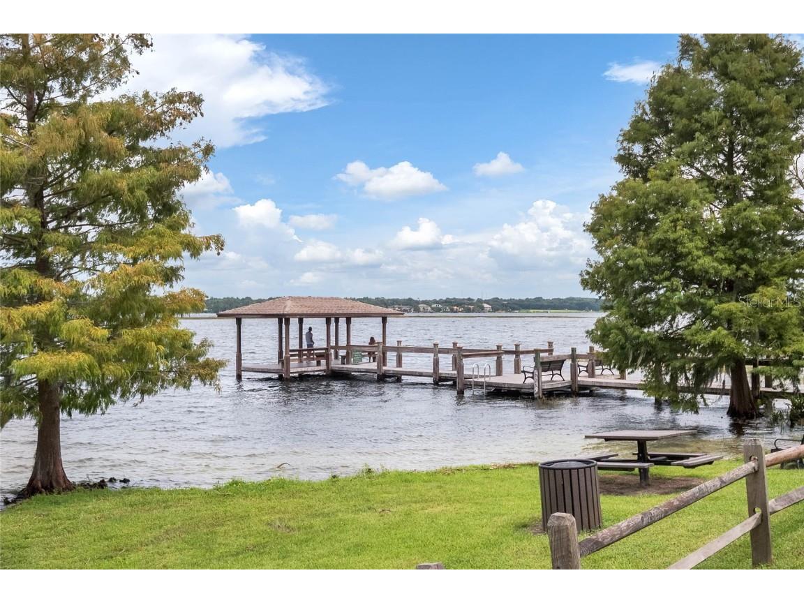 2125 Kane Park Way Windermere FL 34786 O6358139 image58