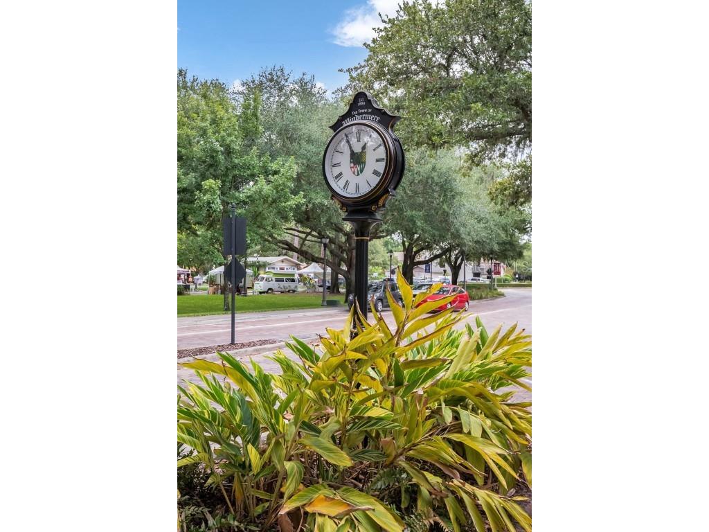 2125 Kane Park Way Windermere FL 34786 O6358139 image61