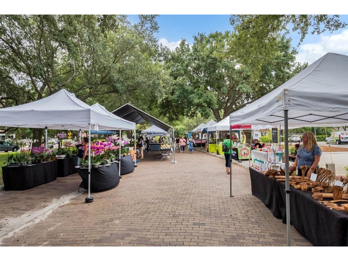 2125 Kane Park Way Windermere FL 34786 O6358139 image62