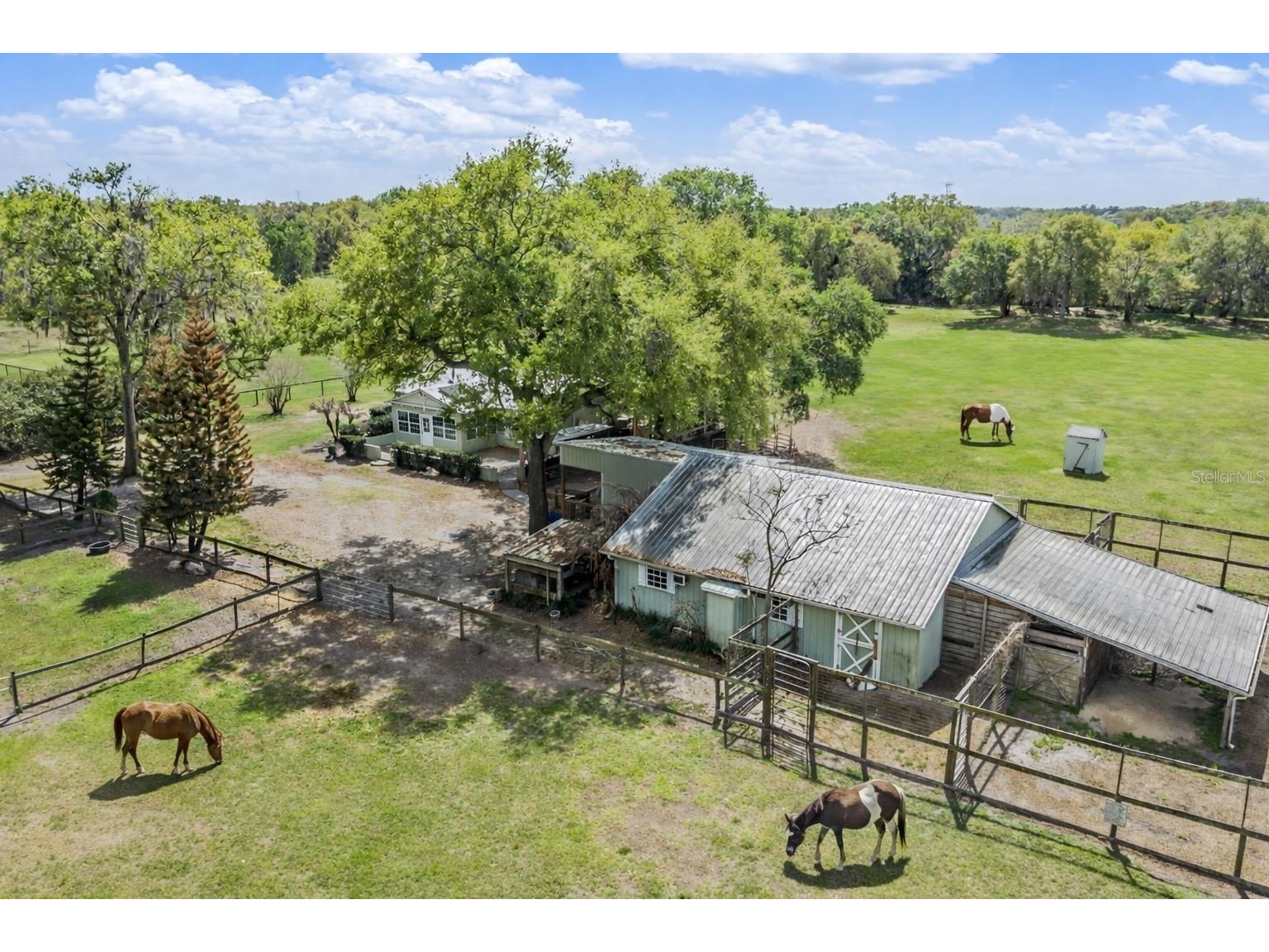 2125 Lanier Road Plant City FL 33565 TB8486665 image3