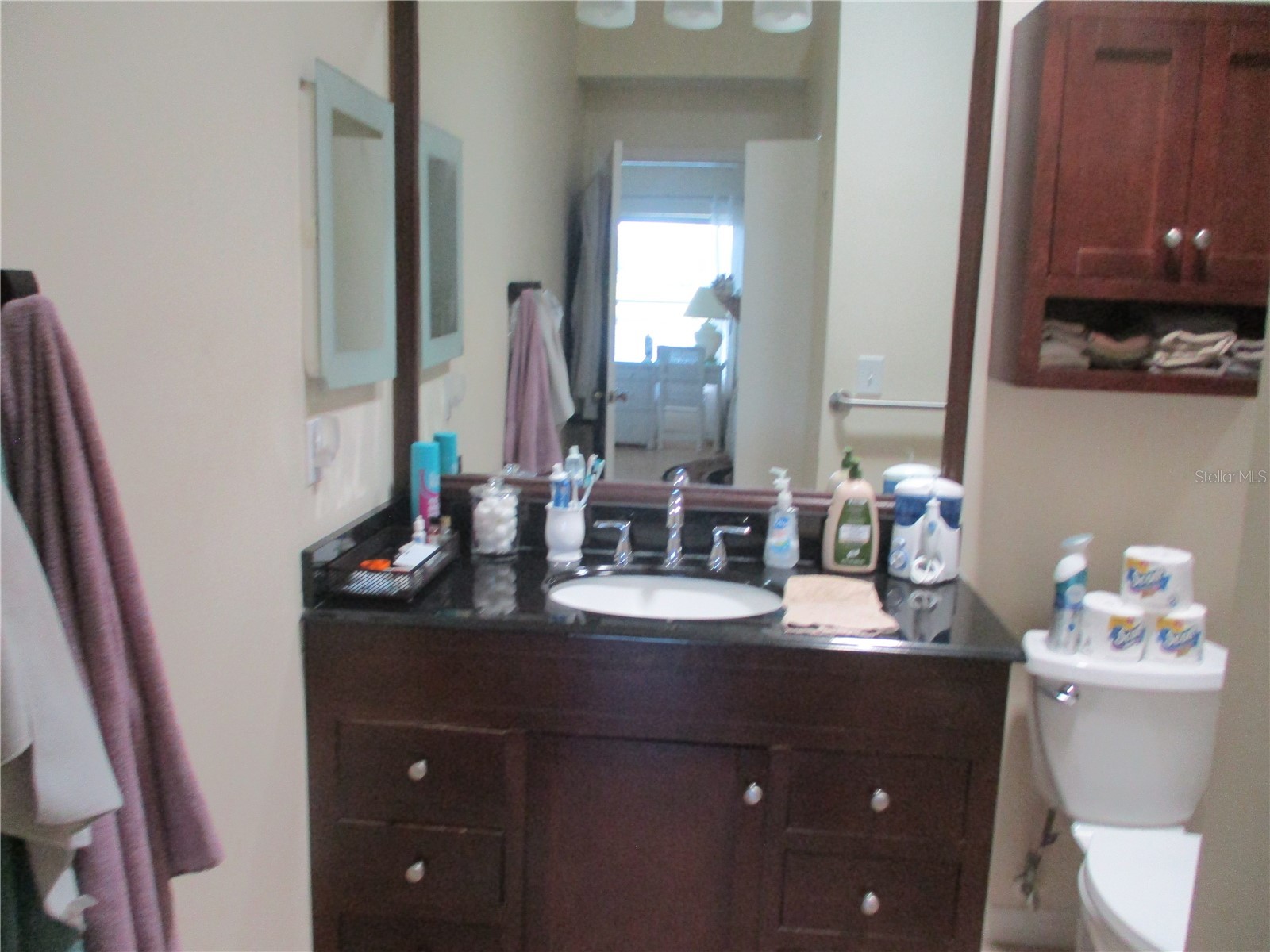 2125 Nantucket Drive Sun City Center FL 33573 TB8516960 image13