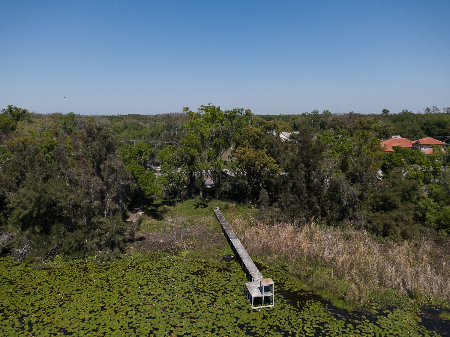 2125 W Bearss Avenue Tampa FL 33618 - LAKE MAGDALENE TB8489196 image5