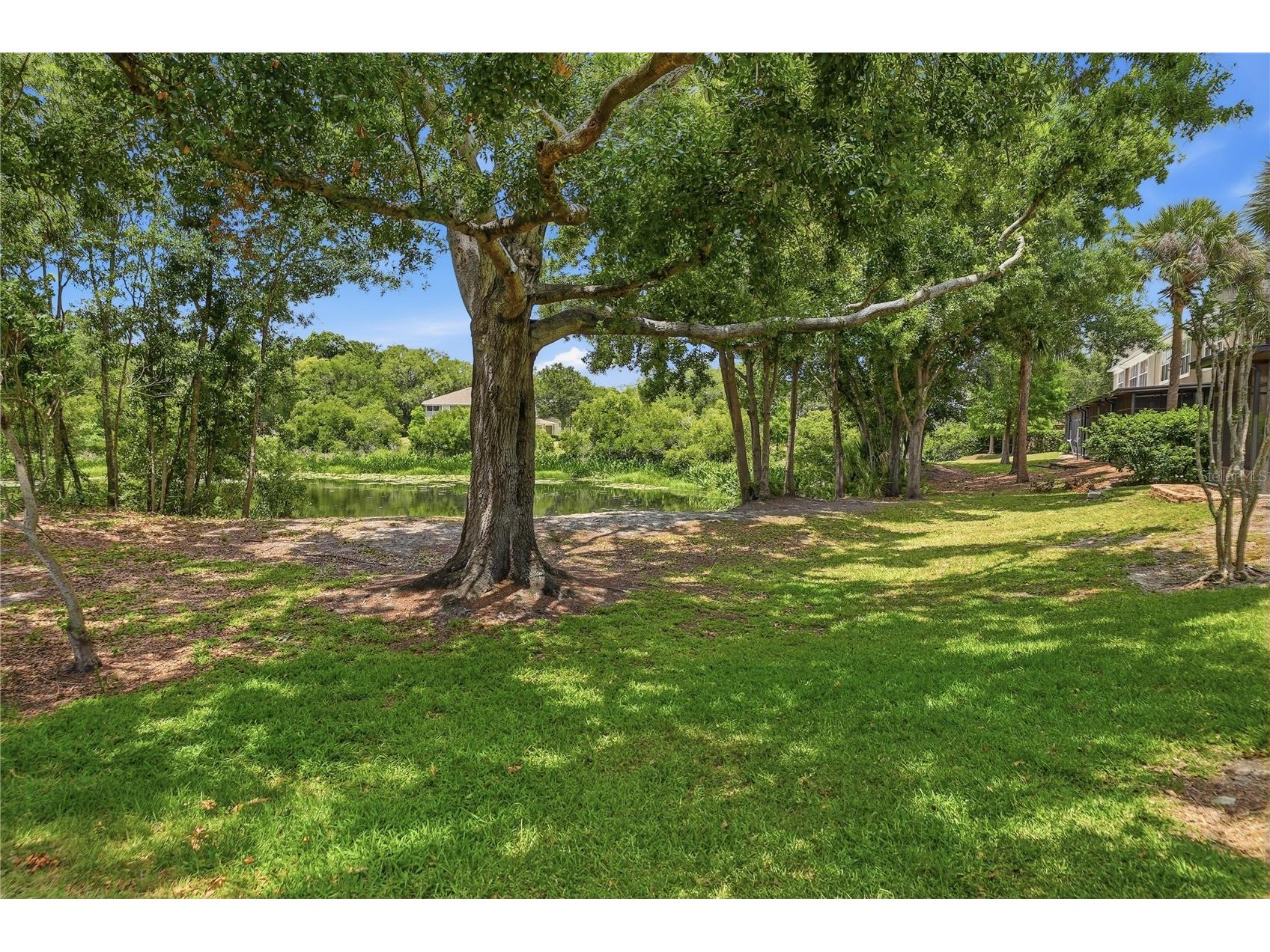 2125 Wild Grape Place Riverview FL 33578 TB8508607 image24