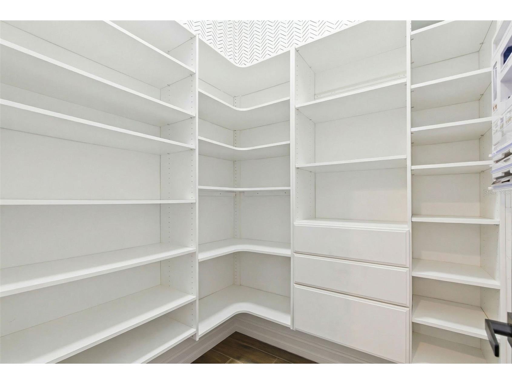 21251 Snowy Orchid Terrace Land O Lakes FL 34637 TB8468611 image26