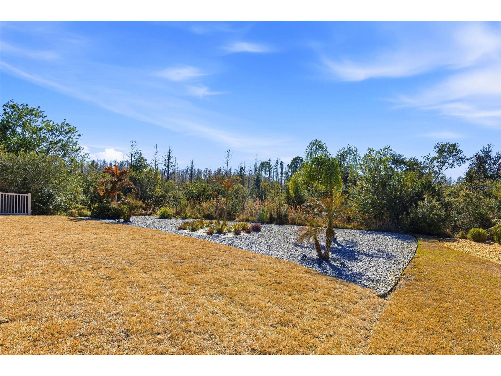 21251 Snowy Orchid Terrace Land O Lakes FL 34637 TB8468611 image69