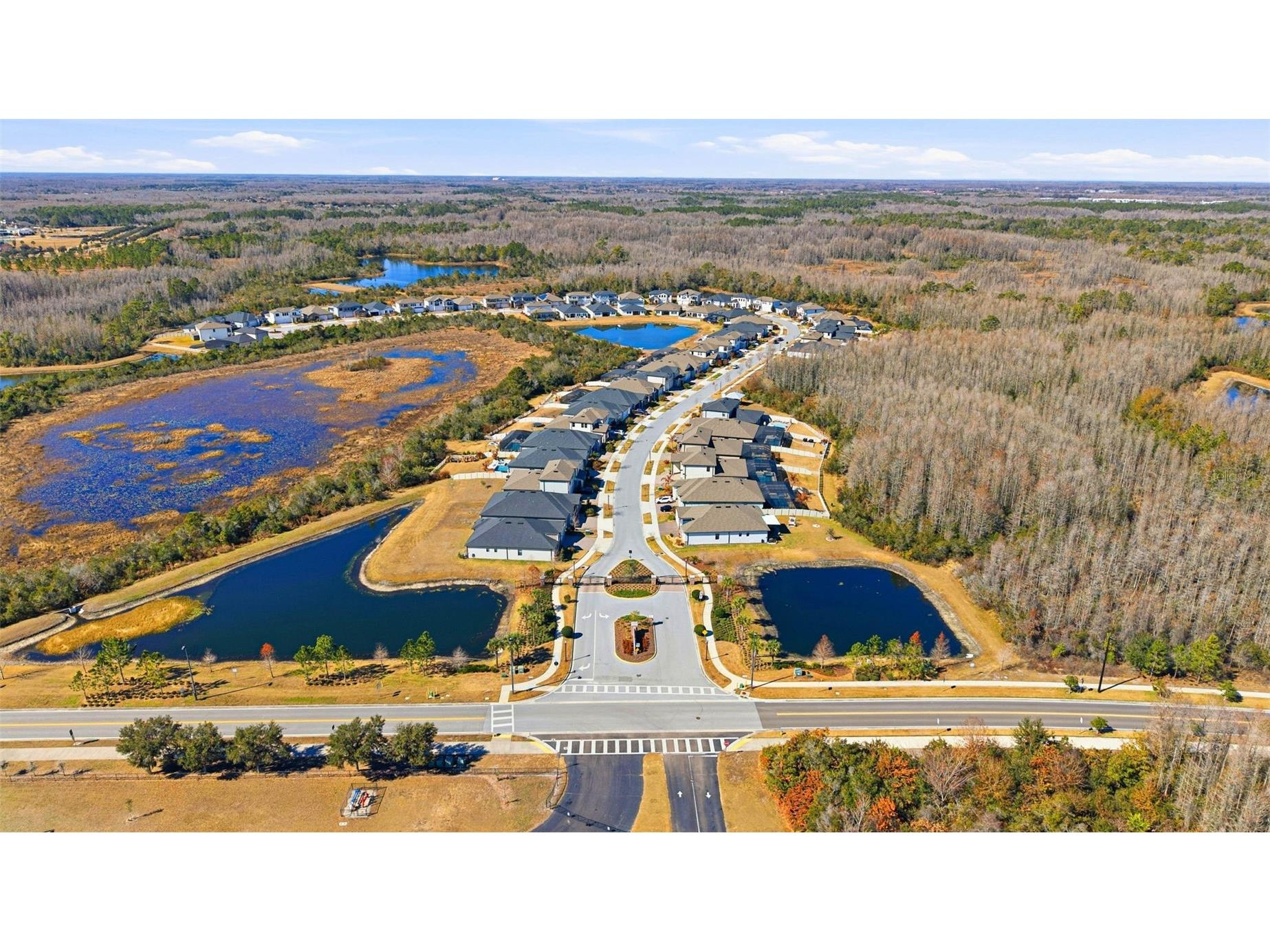 21251 Snowy Orchid Terrace Land O Lakes FL 34637 TB8468611 image79