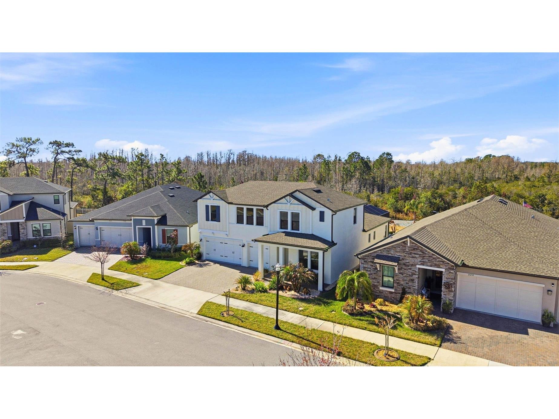 21251 Snowy Orchid Terrace Land O Lakes FL 34637 TB8468611 image83