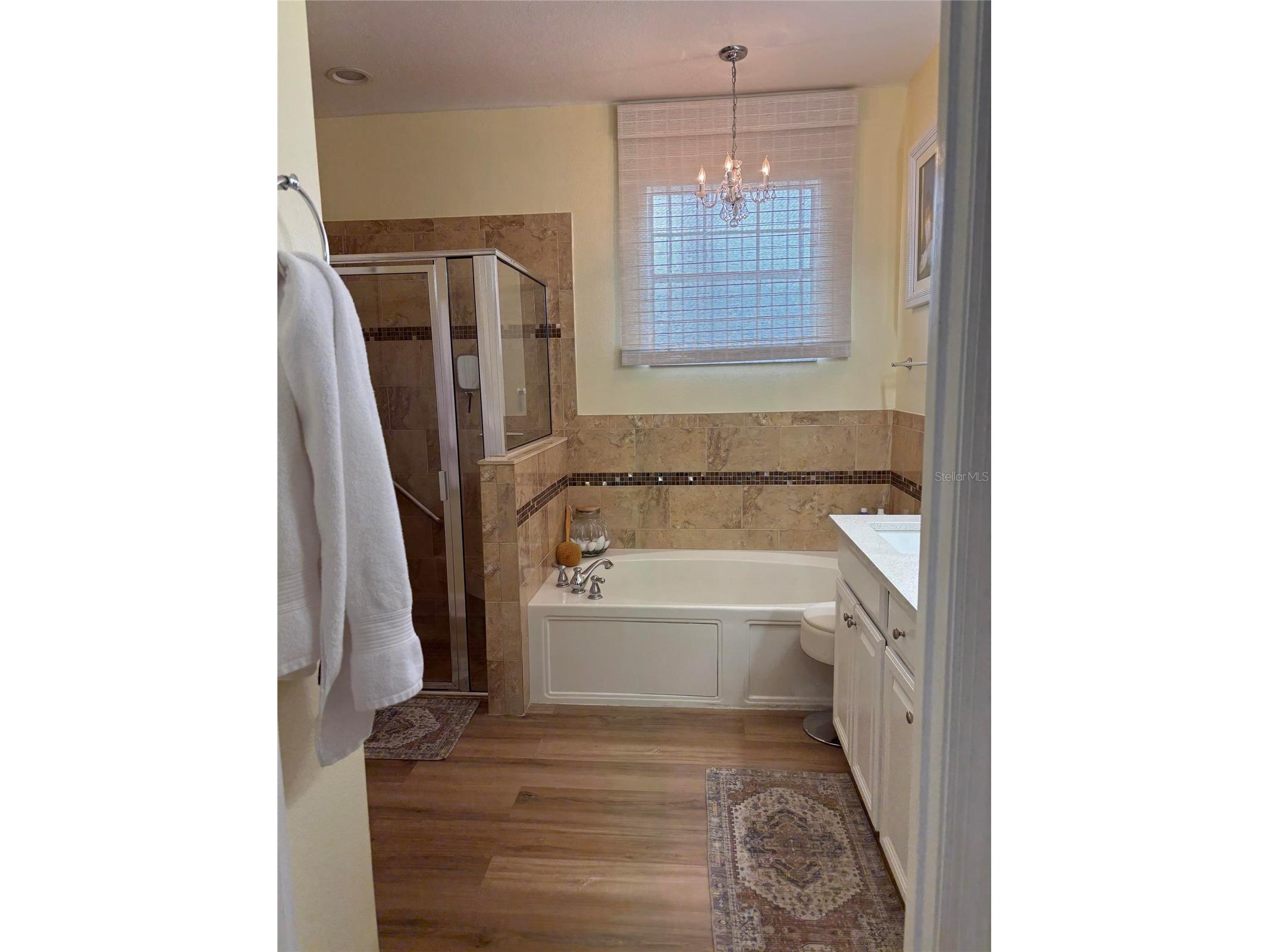 2127 Bristol Grande Way Orlando FL 32820 O6405294 image18