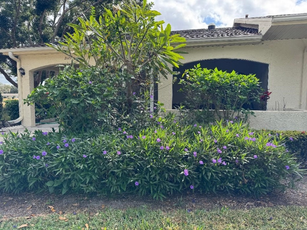 2127 Hailstone Circle Sun City Center FL 33573 TB8419237 image4