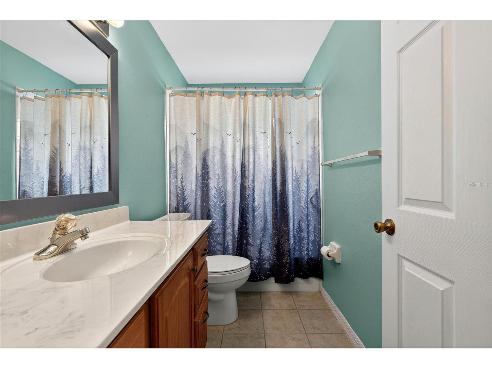 2127 King Richards Court Orange City FL 32763 V4949357 image18