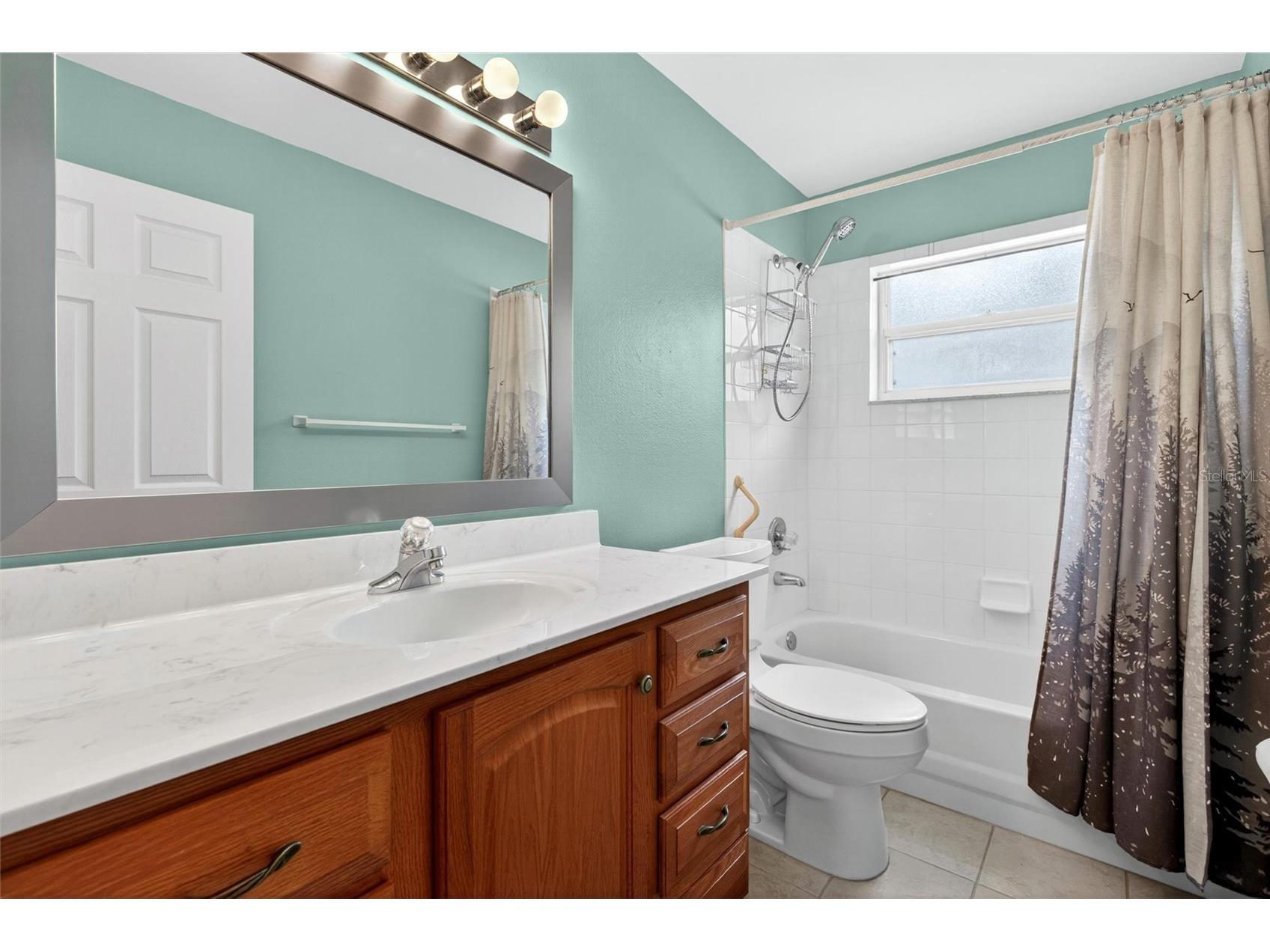 2127 King Richards Court Orange City FL 32763 V4949357 image20