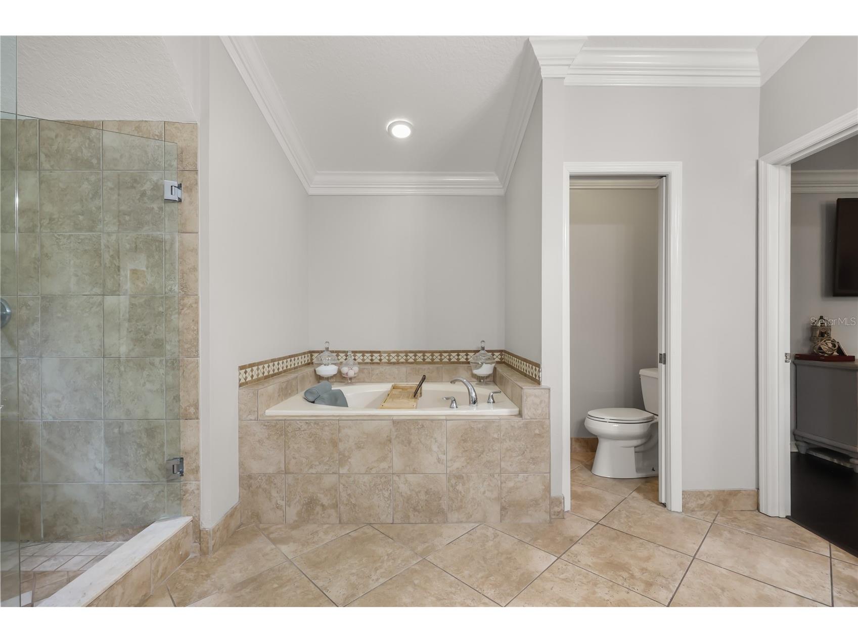 2127 Lilypad Lane Windermere FL 34786 O6403899 image28