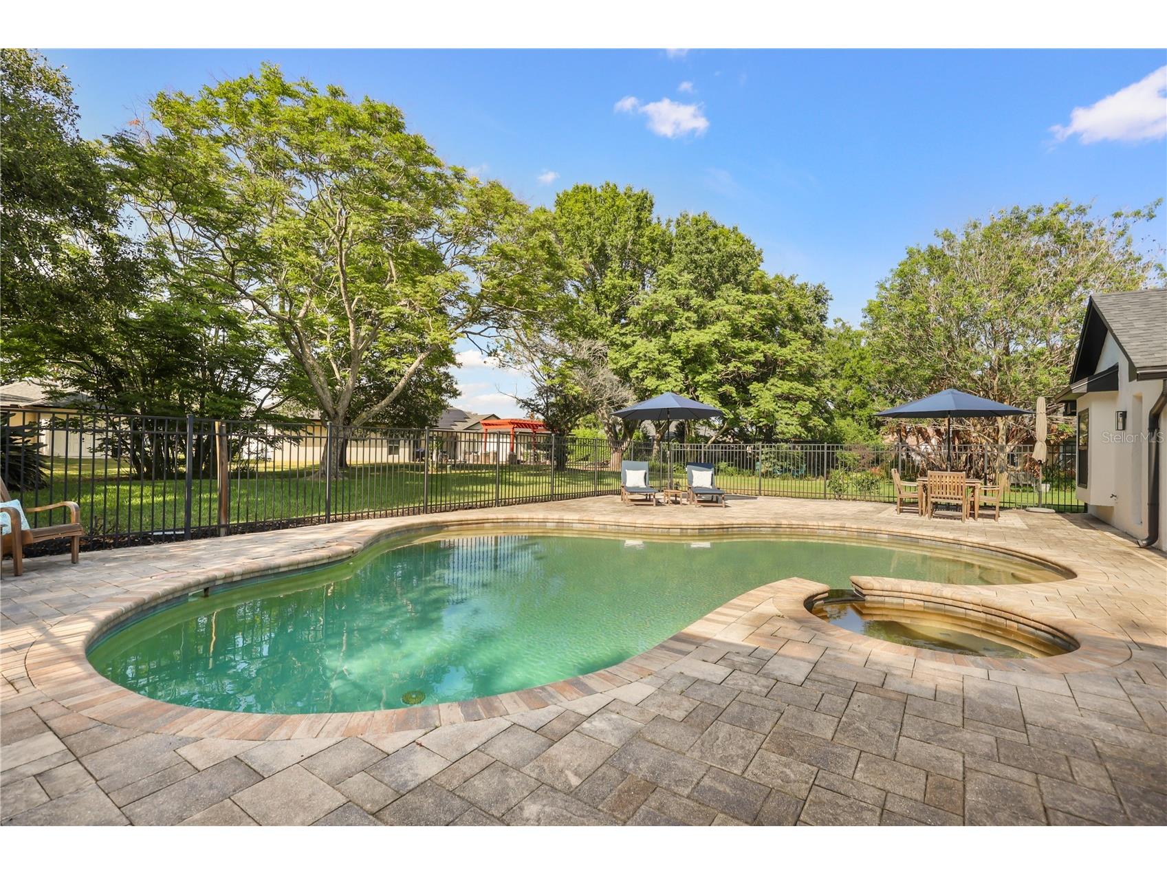 2127 Lilypad Lane Windermere FL 34786 O6403899 image43