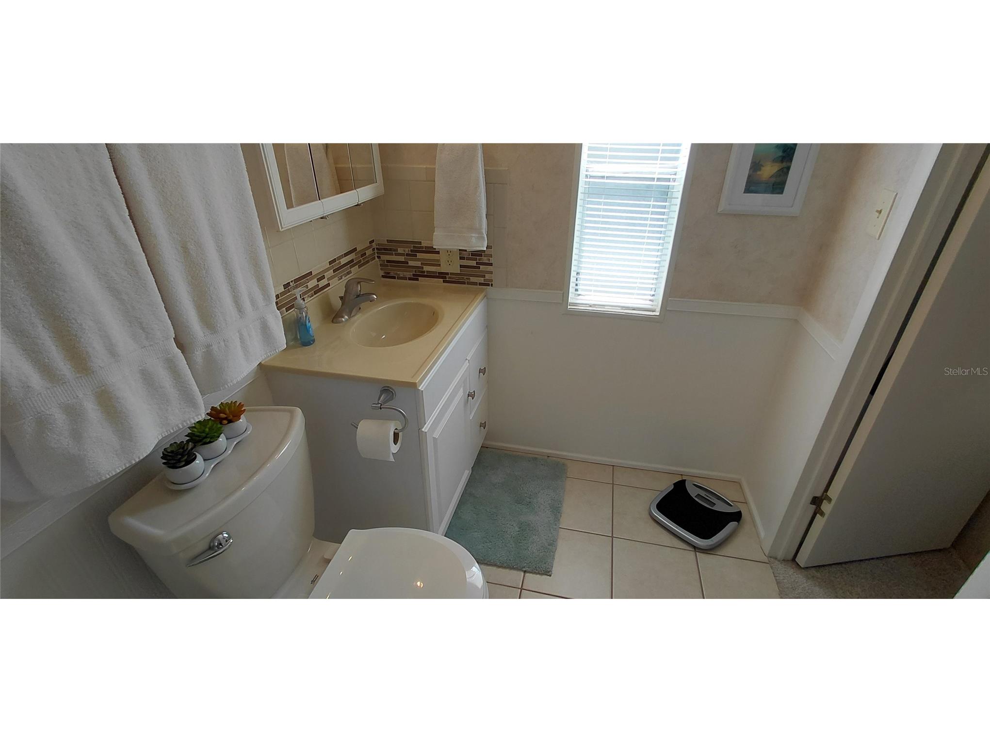 2127 Manoa Drive Holiday FL 34691 - LAKE CONLEY TB8466671 image24
