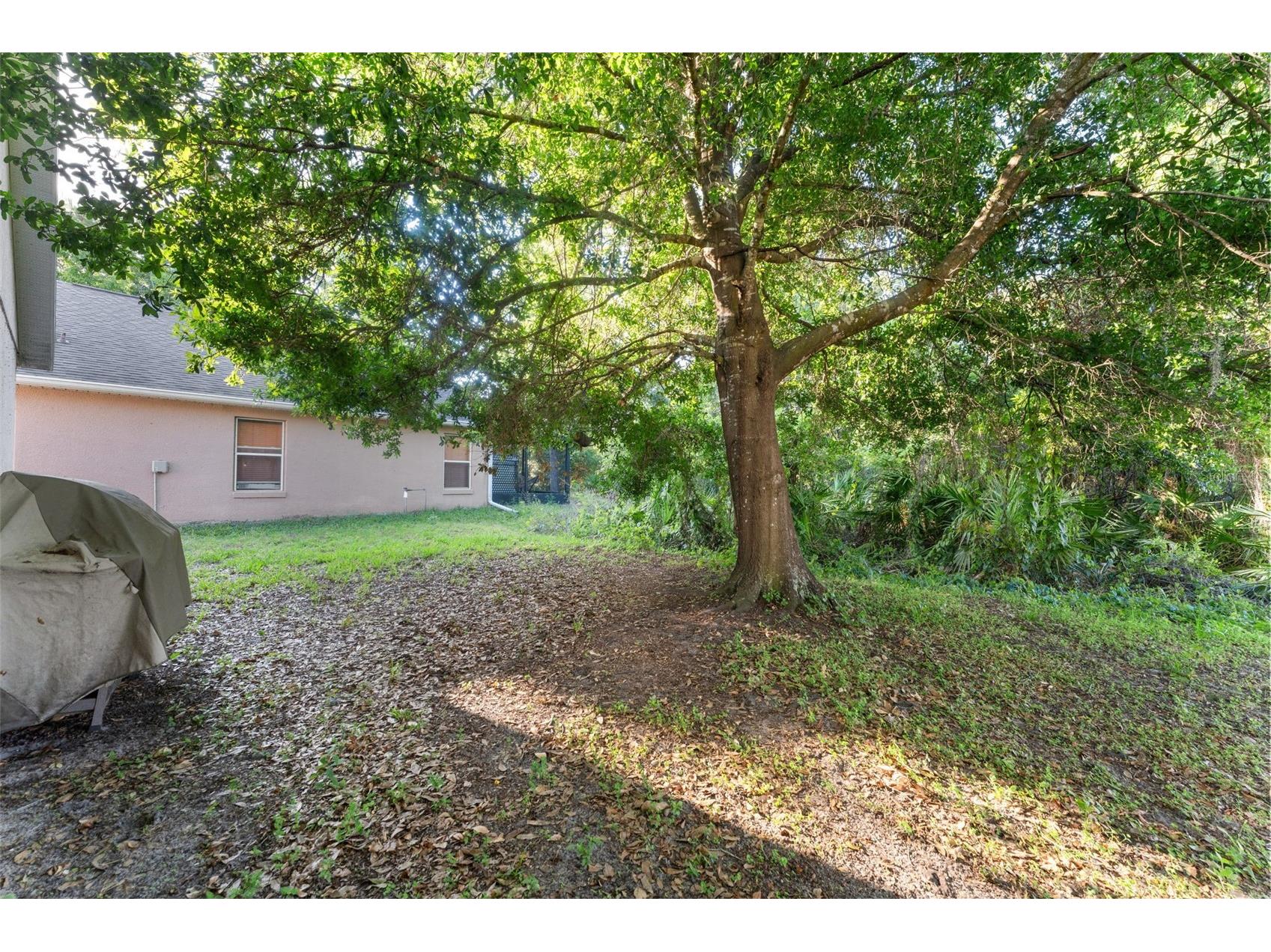 2127 Ruche Court Orlando FL 32817 NS1088284 image19