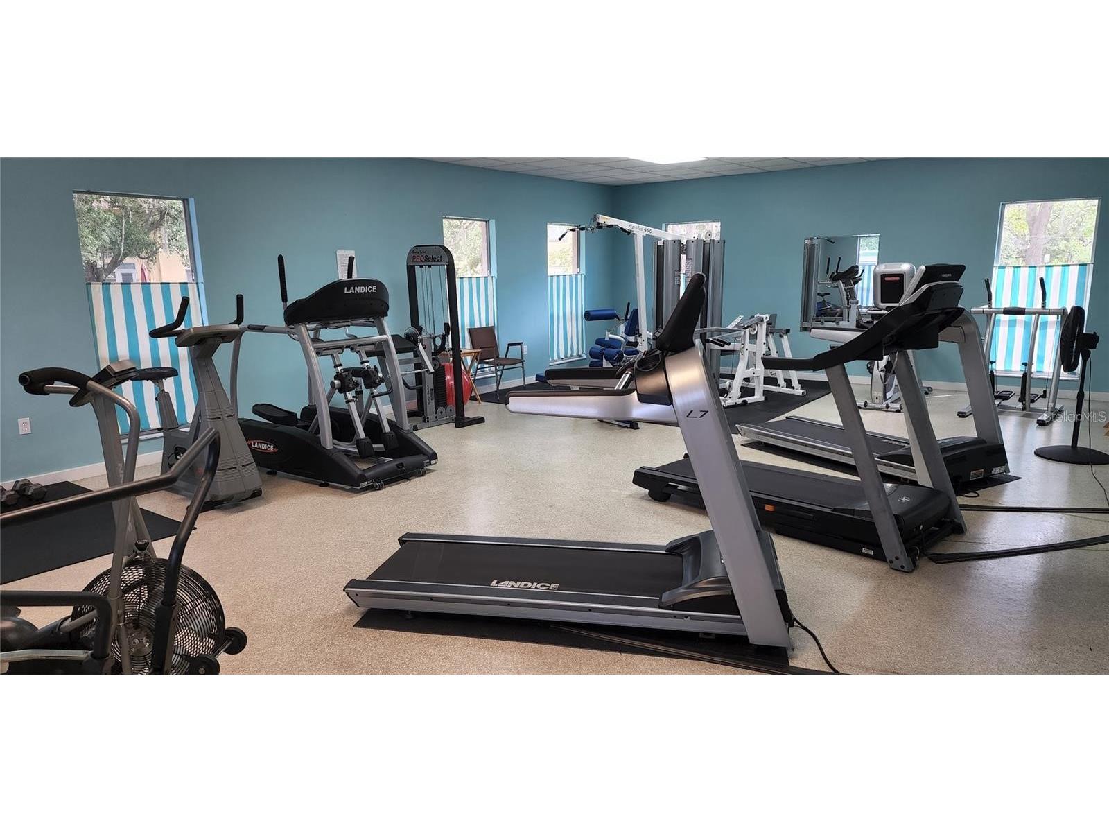 2127 Scotland Drive Clearwater FL 33763 TB8436165 image45