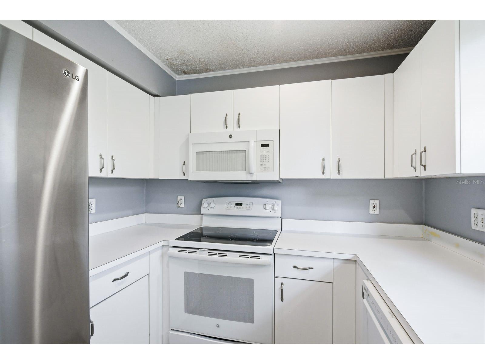 2128 Clover Hill Road Palm Harbor FL 34683 TB8475521 image16